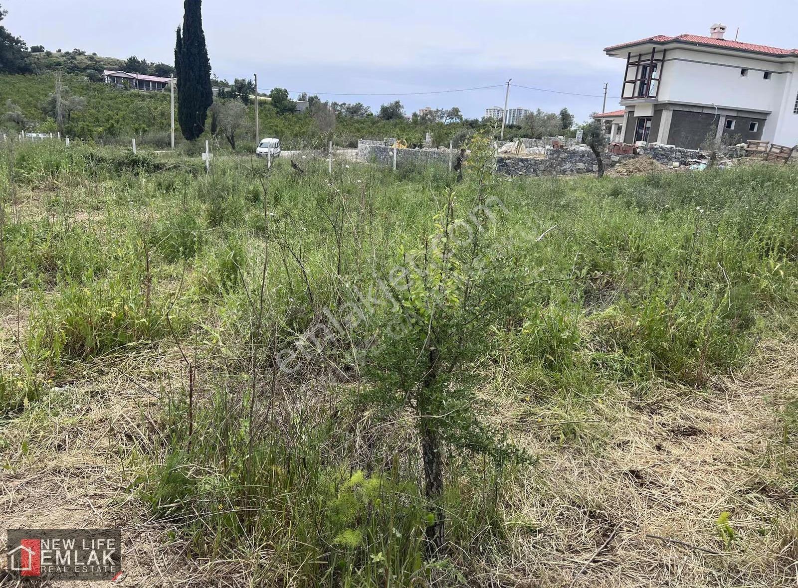 Kuşadası'nda Satılık Müstakil 1000 M2 İmarlı Arsa - Görsel 8