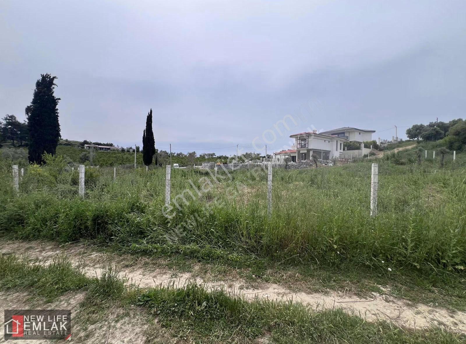 Kuşadası'nda Satılık Müstakil 1000 M2 İmarlı Arsa - Görsel 4