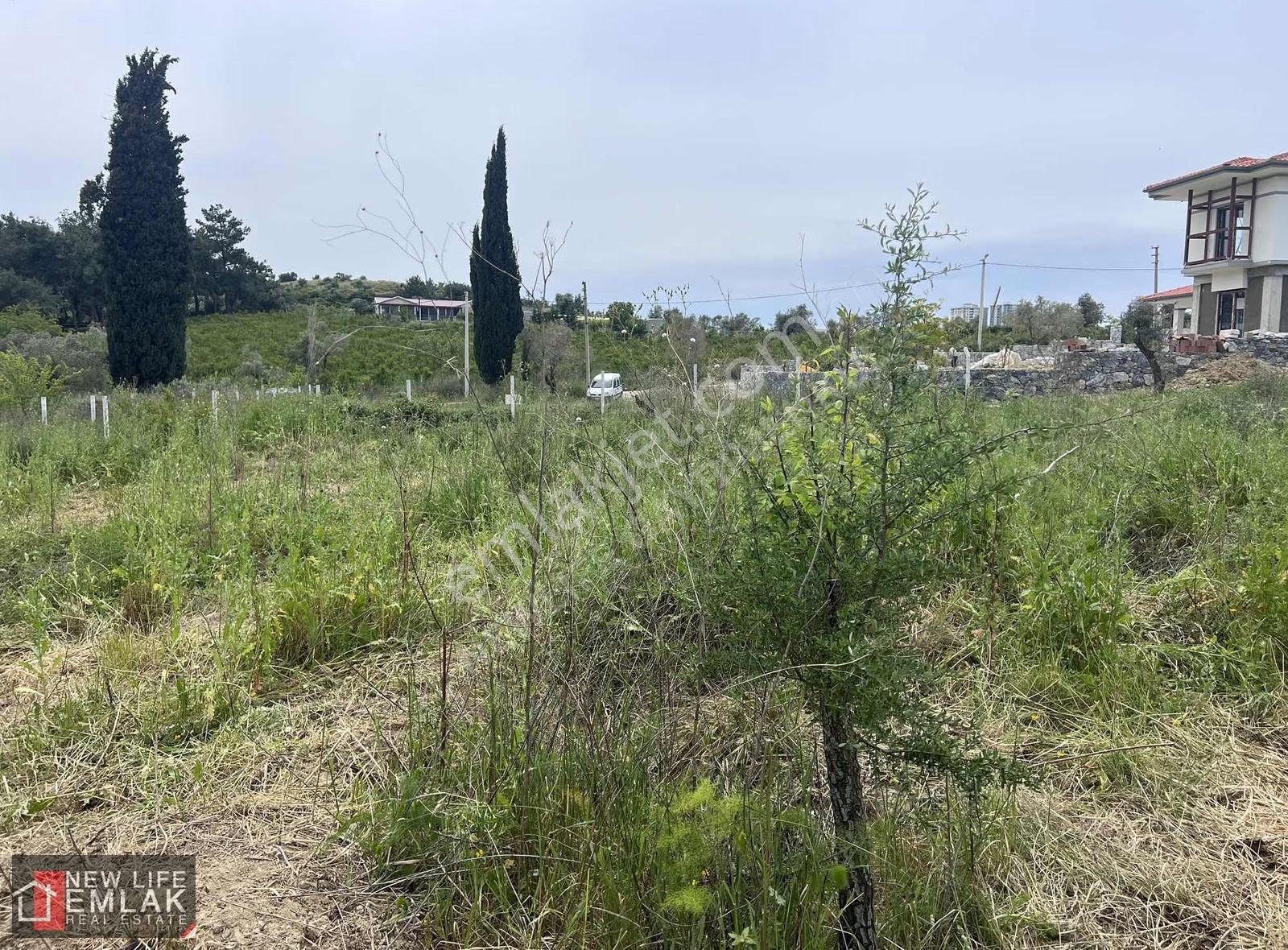 Kuşadası'nda Satılık Müstakil 1000 M2 İmarlı Arsa - Görsel 6