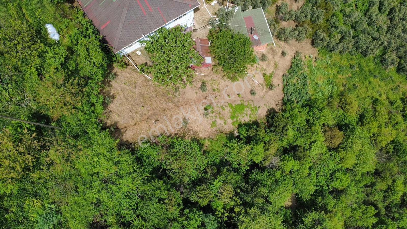 Yoldaş Emlaktan Yukarı Mahallede Deniz Manzaralı 2991 M2 Bağ - Görsel 2