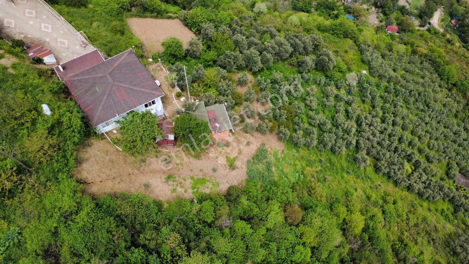 Yoldaş Emlaktan Yukarı Mahallede Deniz Manzaralı 2991 M2 Bağ - Görsel 6