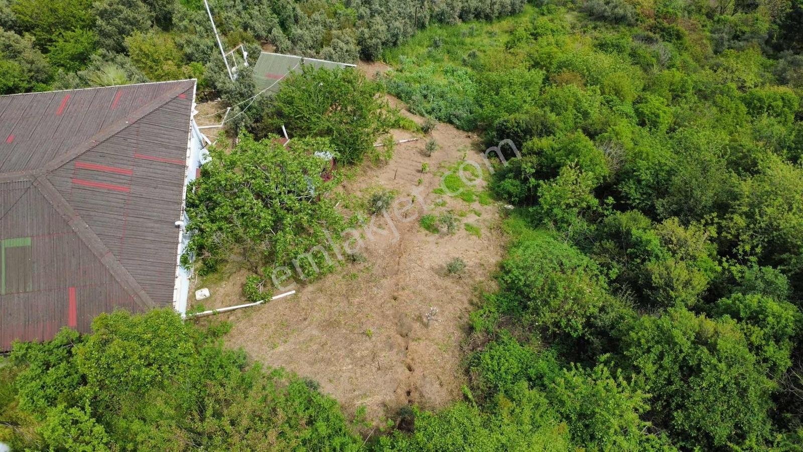 Yoldaş Emlaktan Yukarı Mahallede Deniz Manzaralı 2991 M2 Bağ - Görsel 5