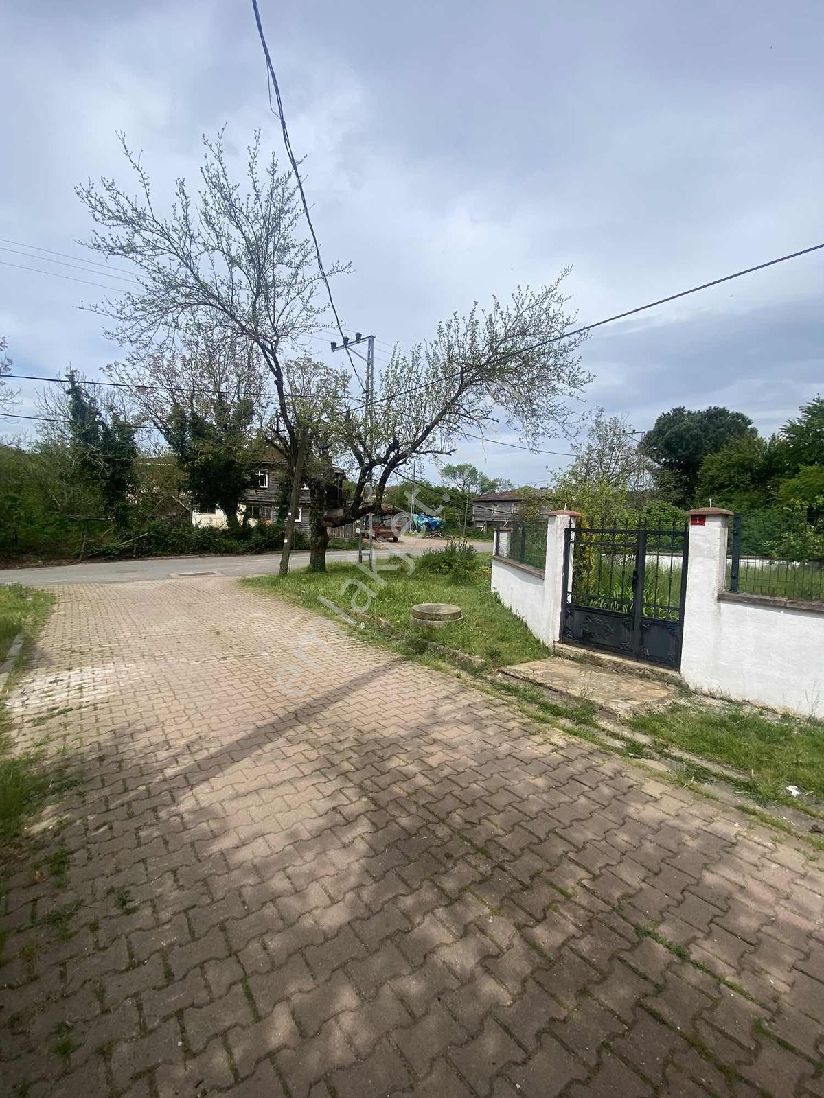 Şile/karabeyli Köy İçi İmarlı Elektrik/su/d.gaz Tek Tapu 395m2 - Görsel 13