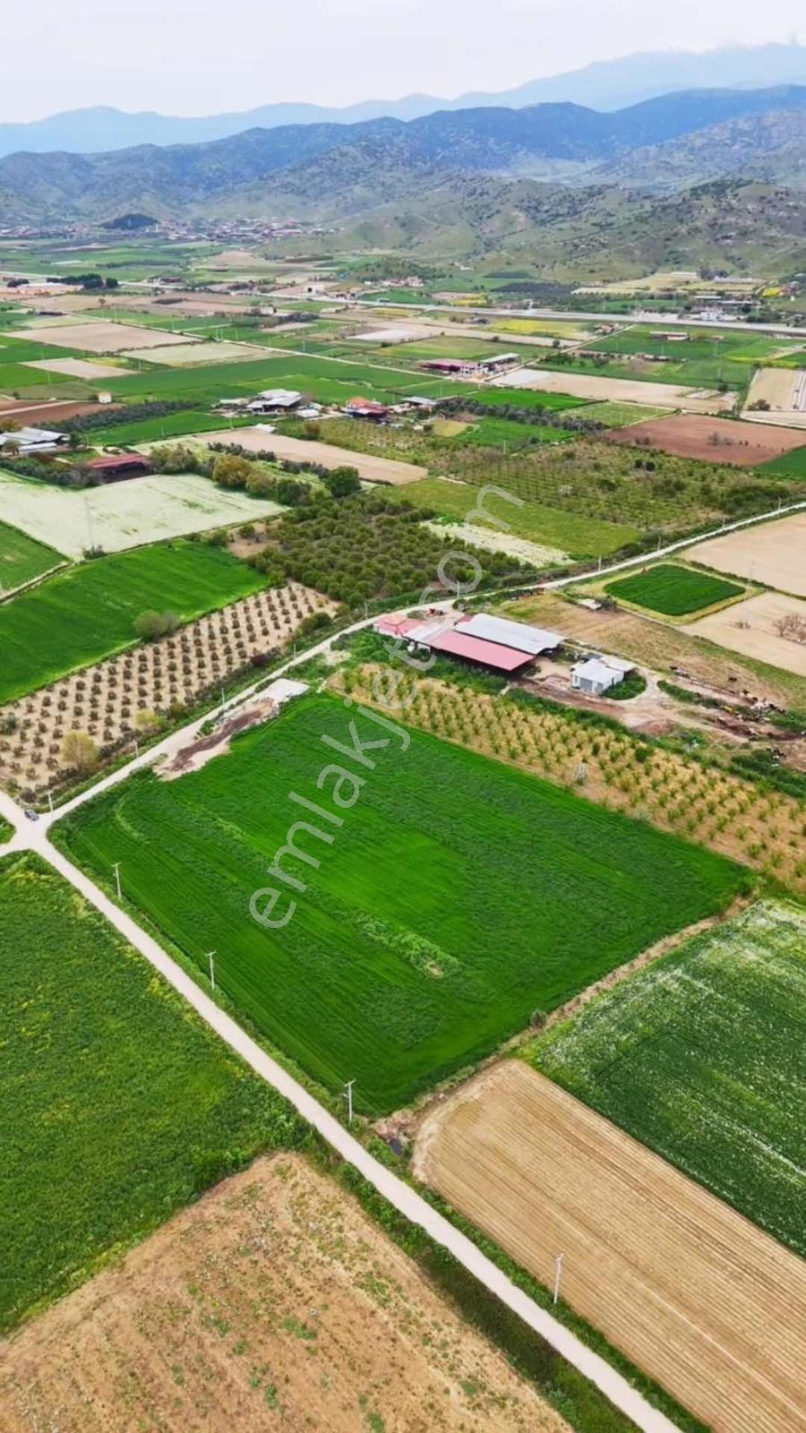Ödemiş Kaymakçıda 13.241 M2 Köşe Konum Yol Cepheli Satılık Tarla - Görsel 4
