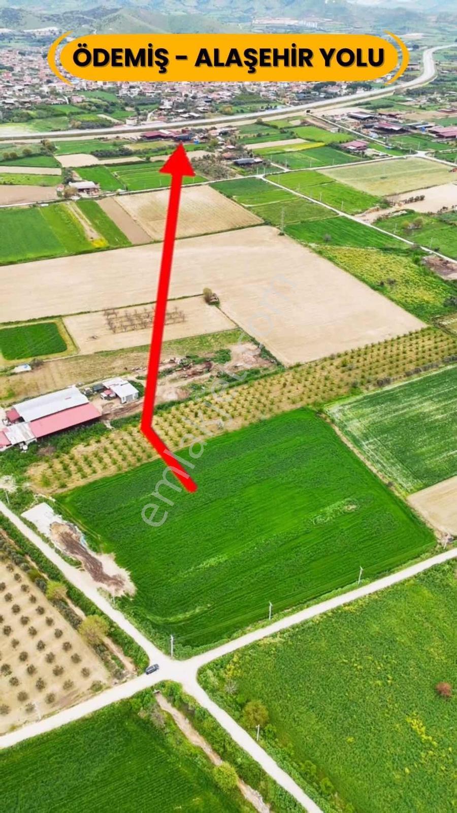 Ödemiş Kaymakçıda 13.241 M2 Köşe Konum Yol Cepheli Satılık Tarla - Görsel 5