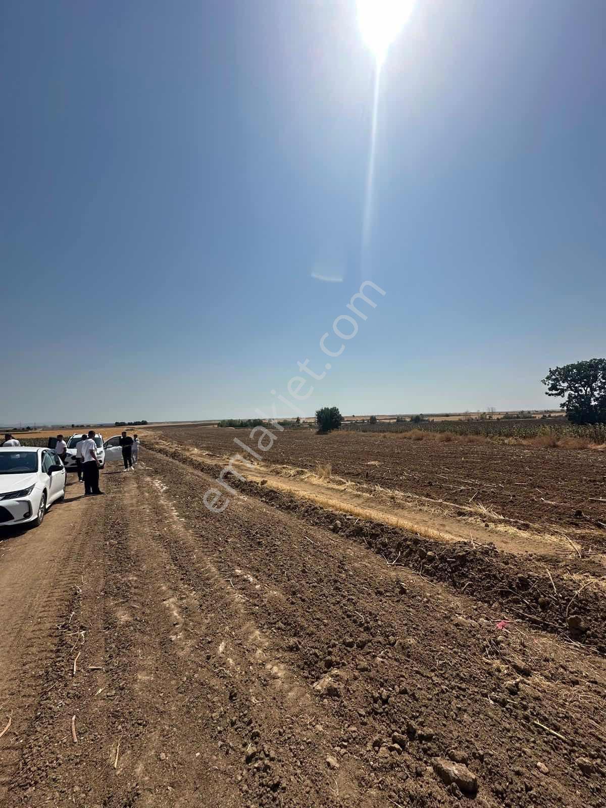 Bildin Gayrimenkul Den 258m2 Koyunbaba Köyünde Uygun Tarla - Görsel 4