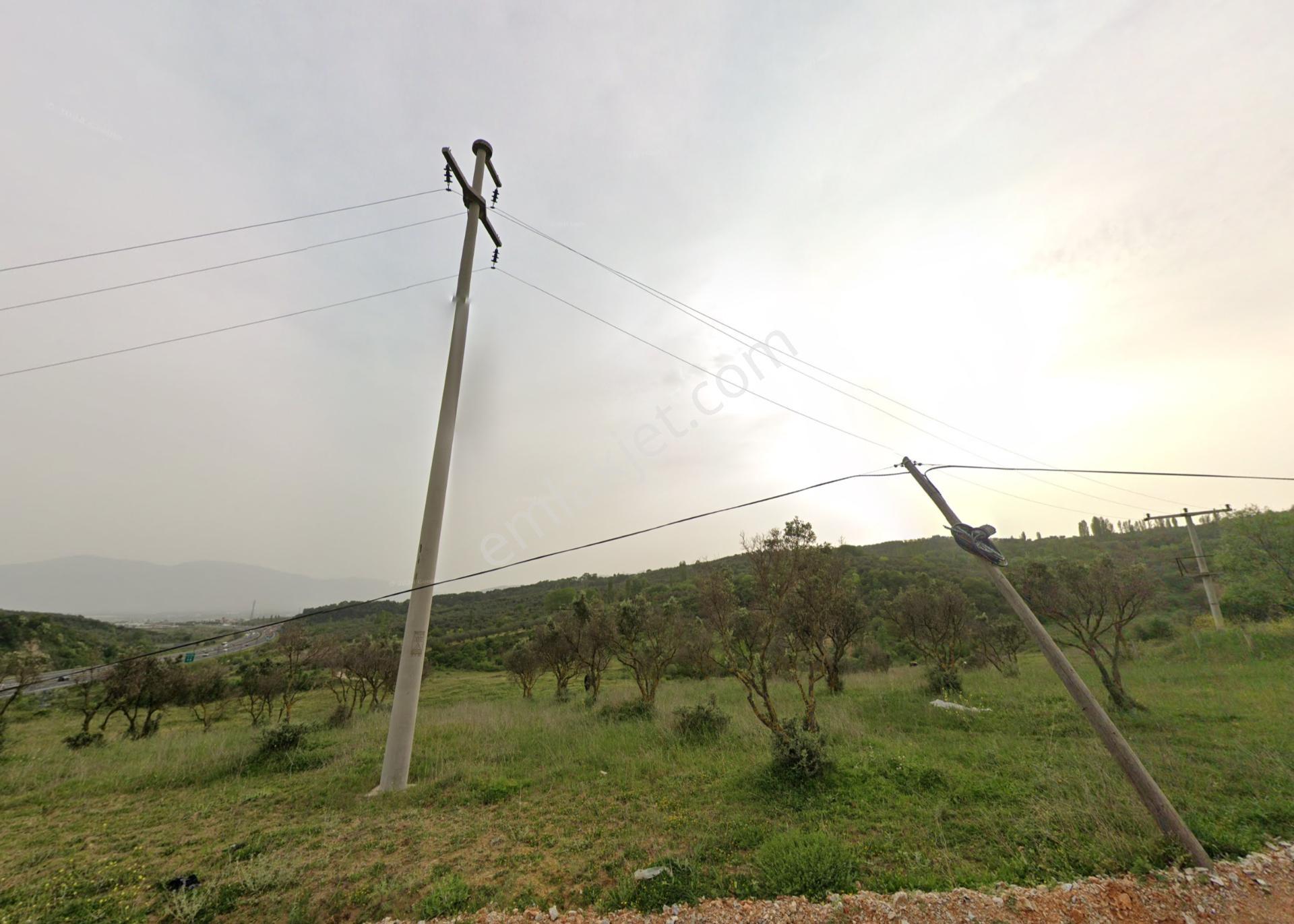 Orhangazi Ortaköy'de Tem'e Yakın 8.300m² Yola Cephe Fırsat Arazi - Görsel 33