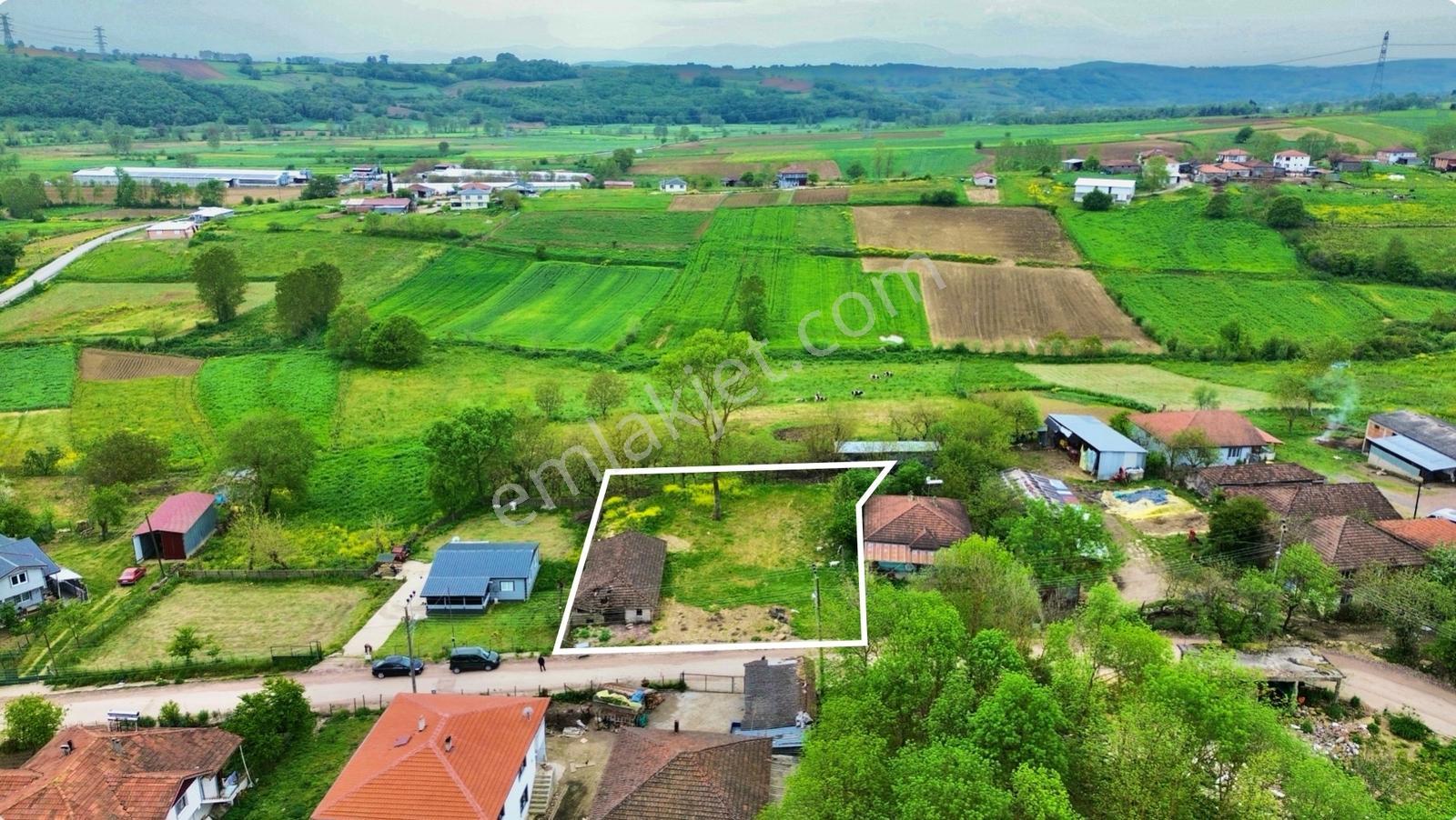 Araman Da Köy İçi İmarlı Arsa