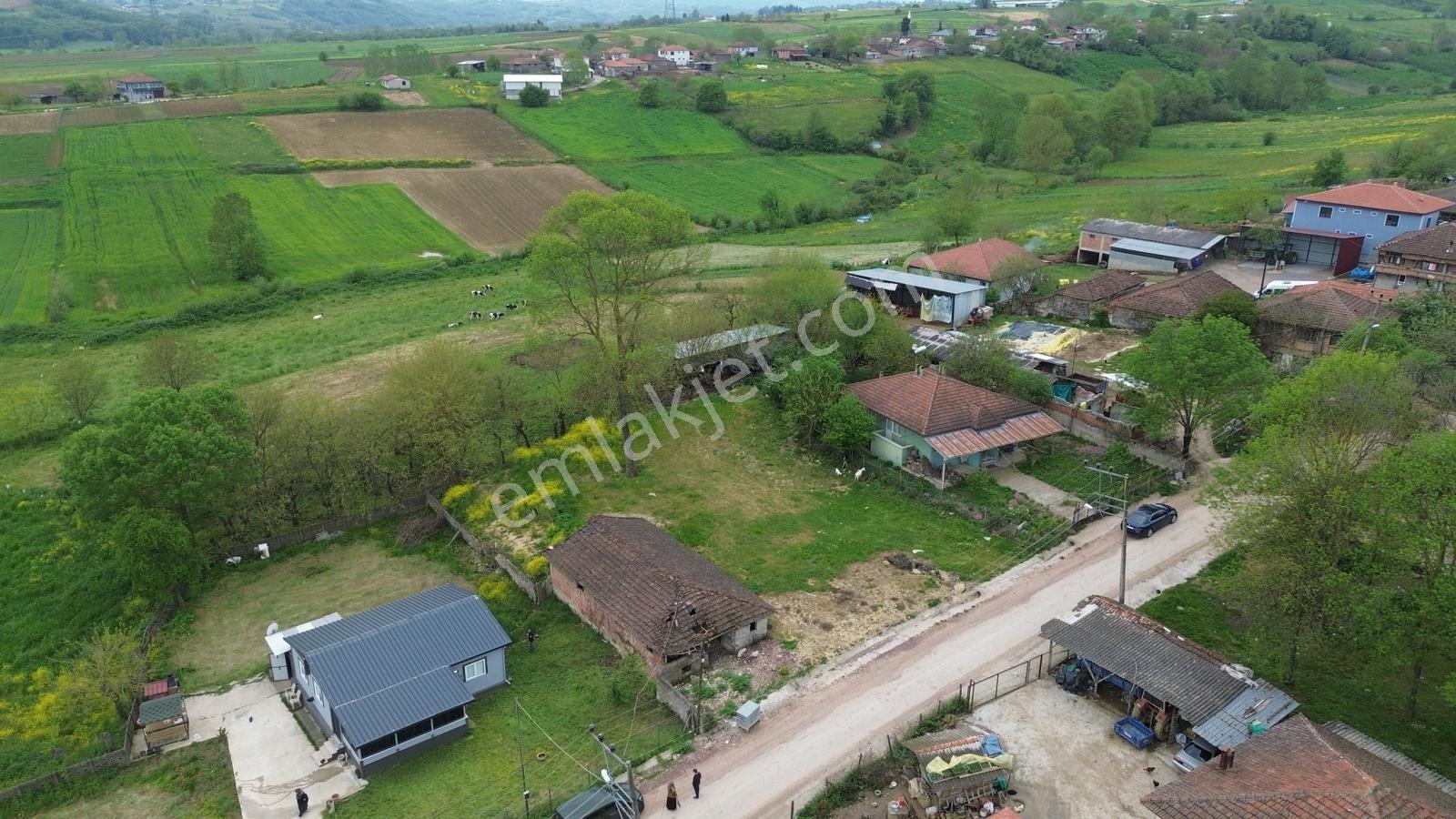 Araman Da Köy İçi İmarlı Arsa - Görsel 8