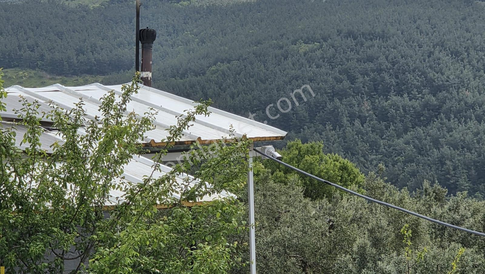 Mudanya Yaylacık Mh.köyün Yanı,müstaki Ev,yol,su,elektrik Var - Görsel 23