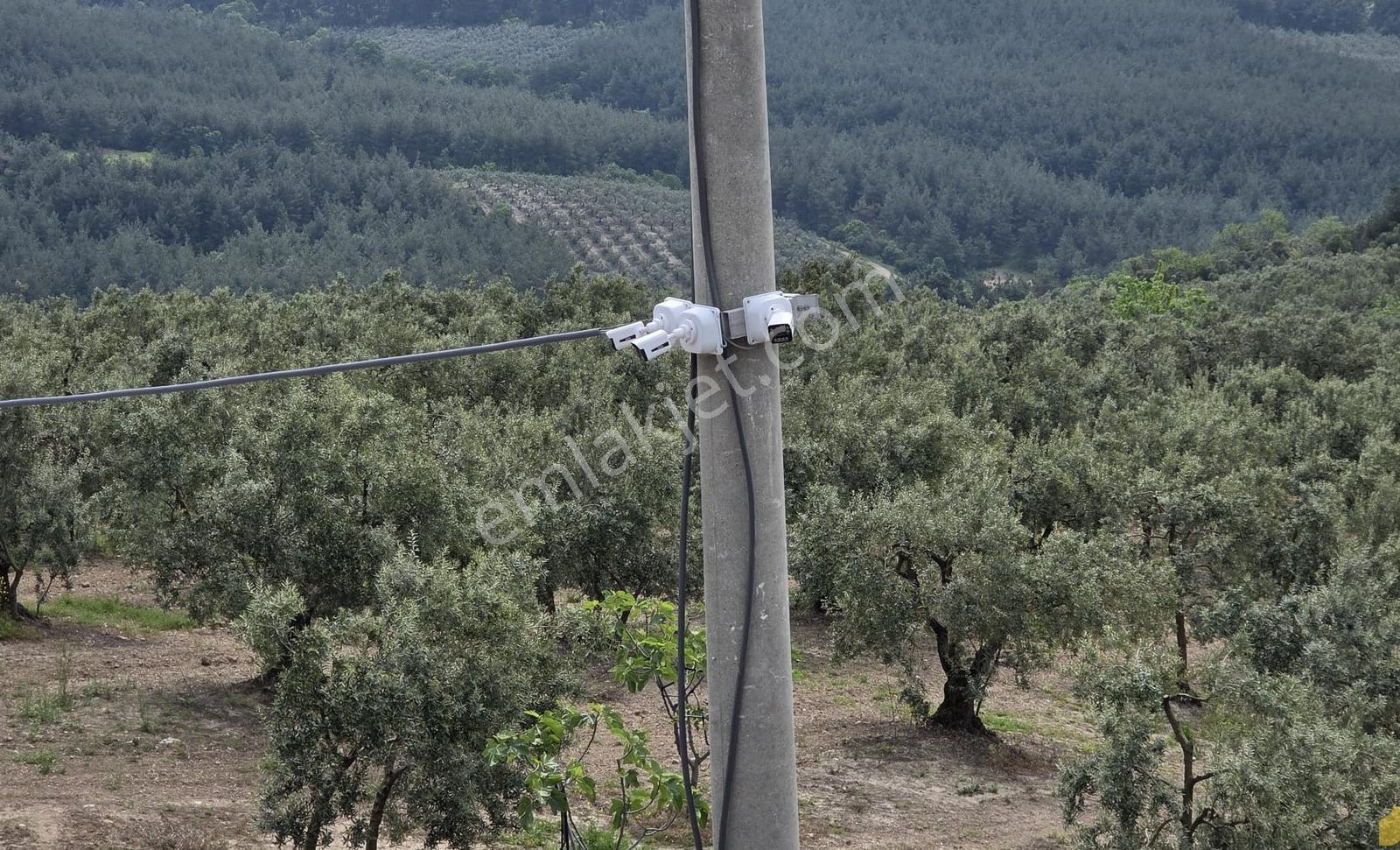 Mudanya Yaylacık Mh.köyün Yanı,müstaki Ev,yol,su,elektrik Var - Görsel 16