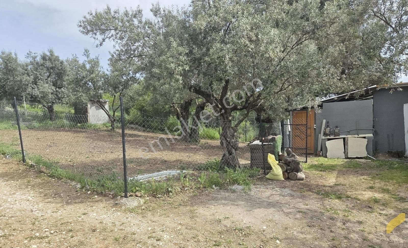 Mudanya Yaylacık Mh.köyün Yanı,müstaki Ev,yol,su,elektrik Var - Görsel 11