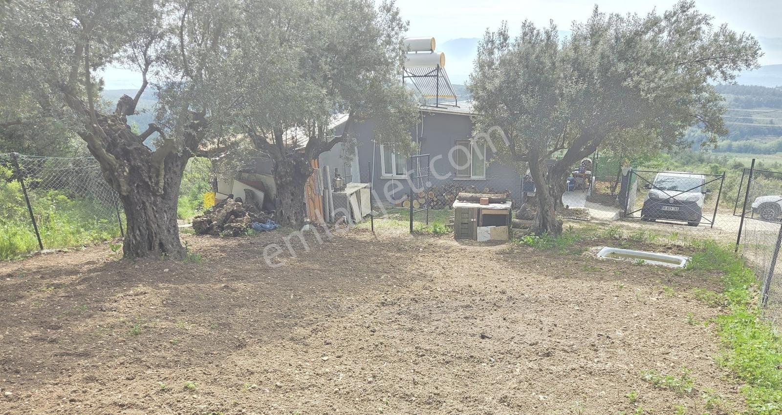 Mudanya Yaylacık Mh.köyün Yanı,müstaki Ev,yol,su,elektrik Var - Görsel 13
