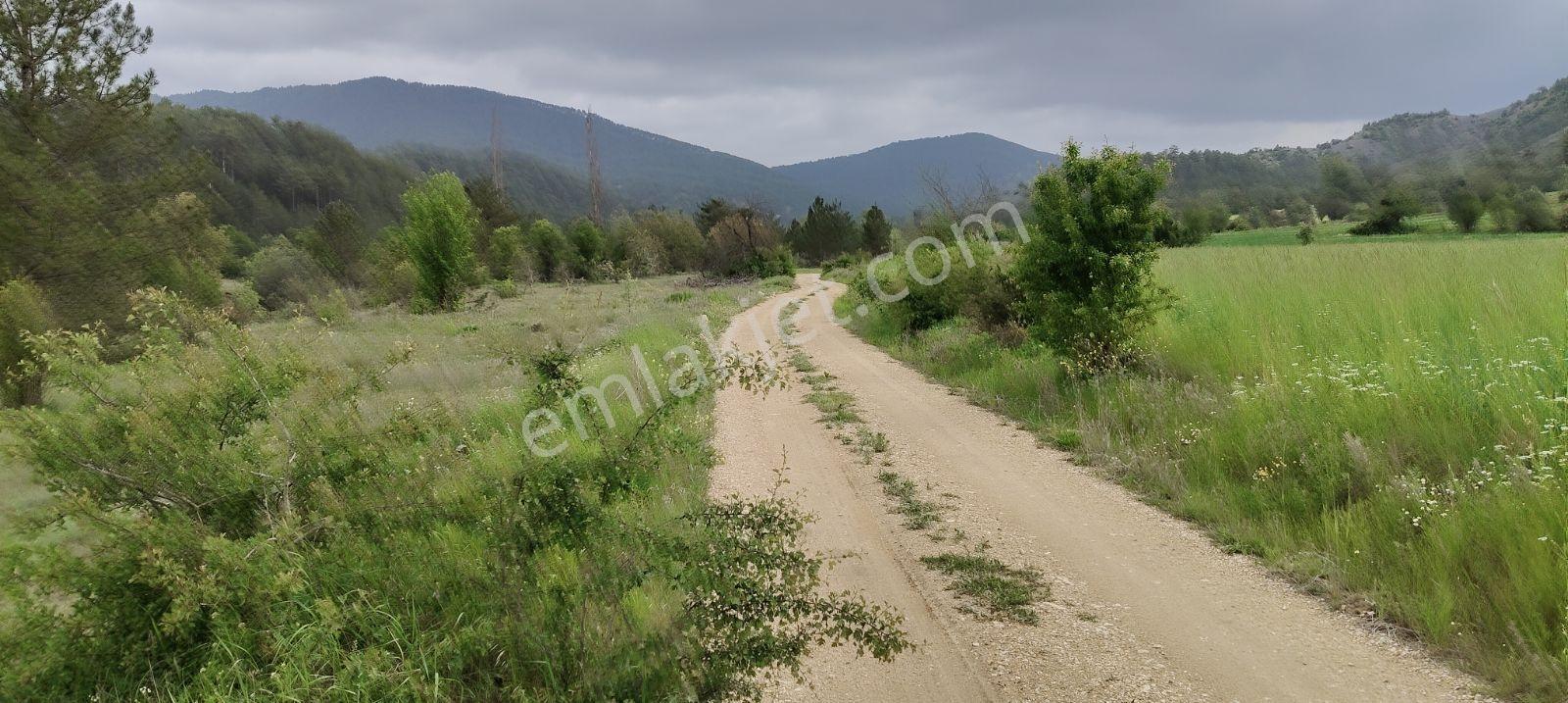 Nallıhan Beycik Dere Ke Hayvan Uygun Satılık Arsa Fırsatı - Görsel 6