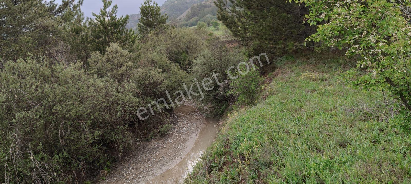 Nallıhan Beycik Dere Ke Hayvan Uygun Satılık Arsa Fırsatı - Görsel 12