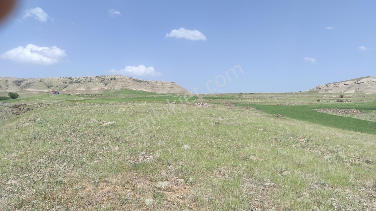 Ankara Ya 50 Dakika 5600 M2 Yola Cephe Tek Tapu Arsa Araç Takasl - Görsel 8