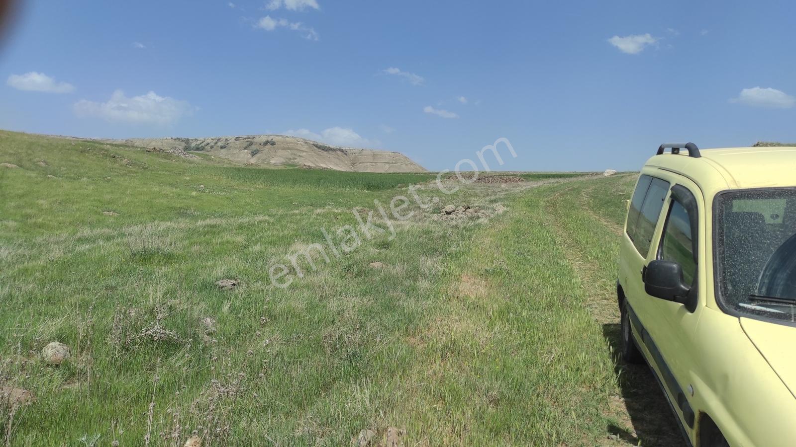 Ankara Ya 50 Dakika 5600 M2 Yola Cephe Tek Tapu Arsa Araç Takasl - Görsel 18