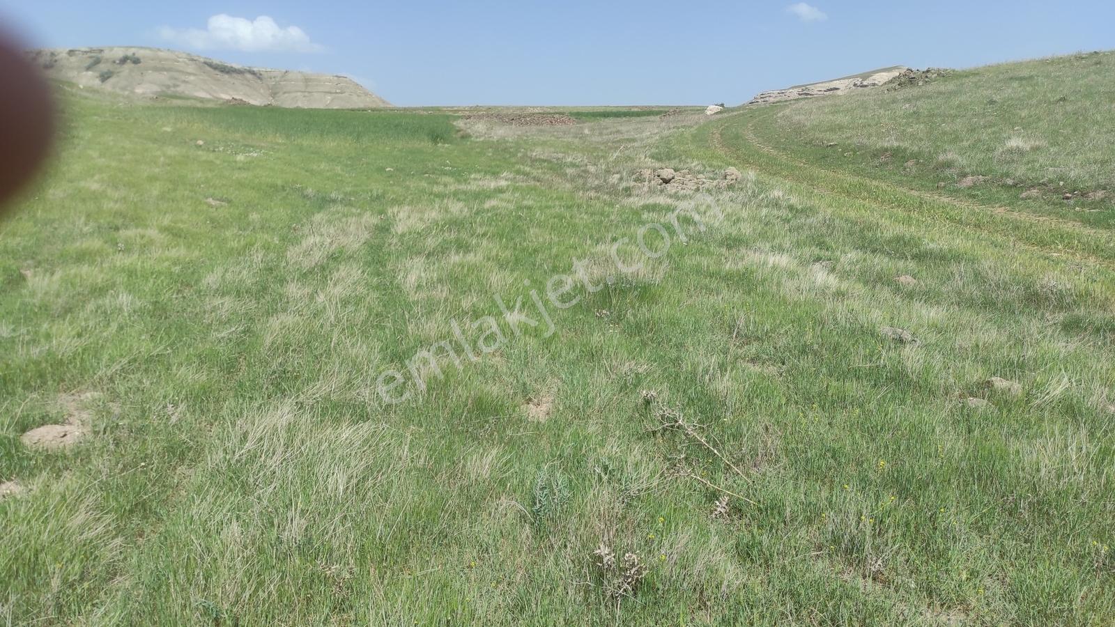 Ankara Ya 50 Dakika 5600 M2 Yola Cephe Tek Tapu Arsa Araç Takasl - Görsel 6