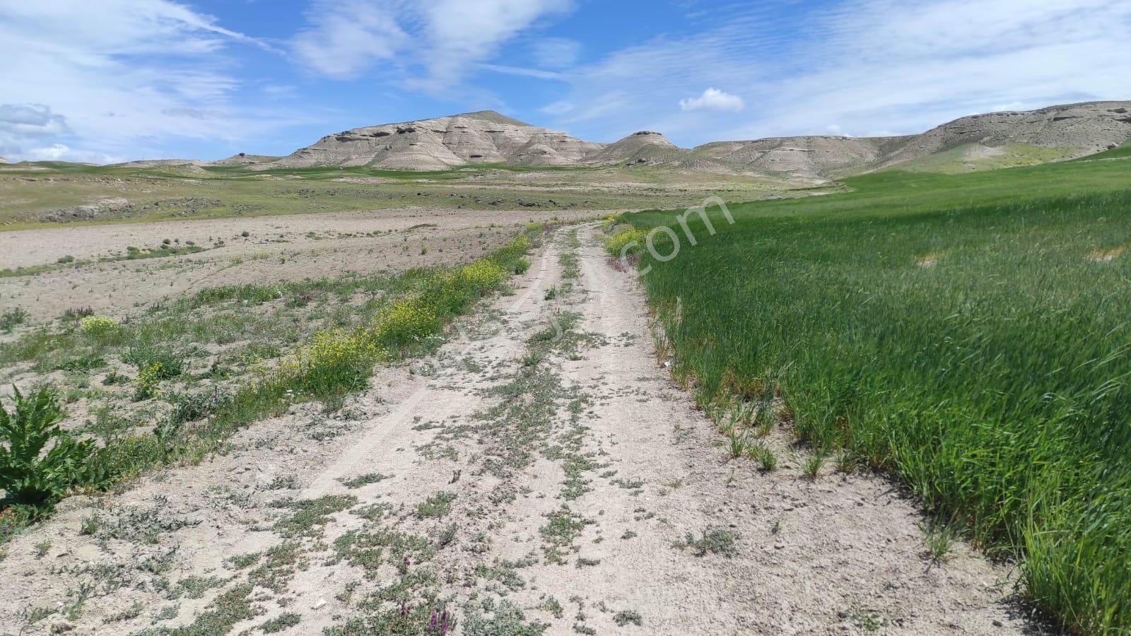 Ankara Ya 50 Dakika 5600 M2 Yola Cephe Tek Tapu Arsa Araç Takasl - Görsel 19