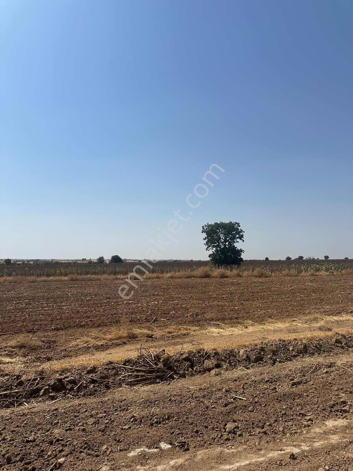 Kırklareli Koyunbaba Köyü'nde 379m2 Satılık Hisseli Tarla - Görsel 8