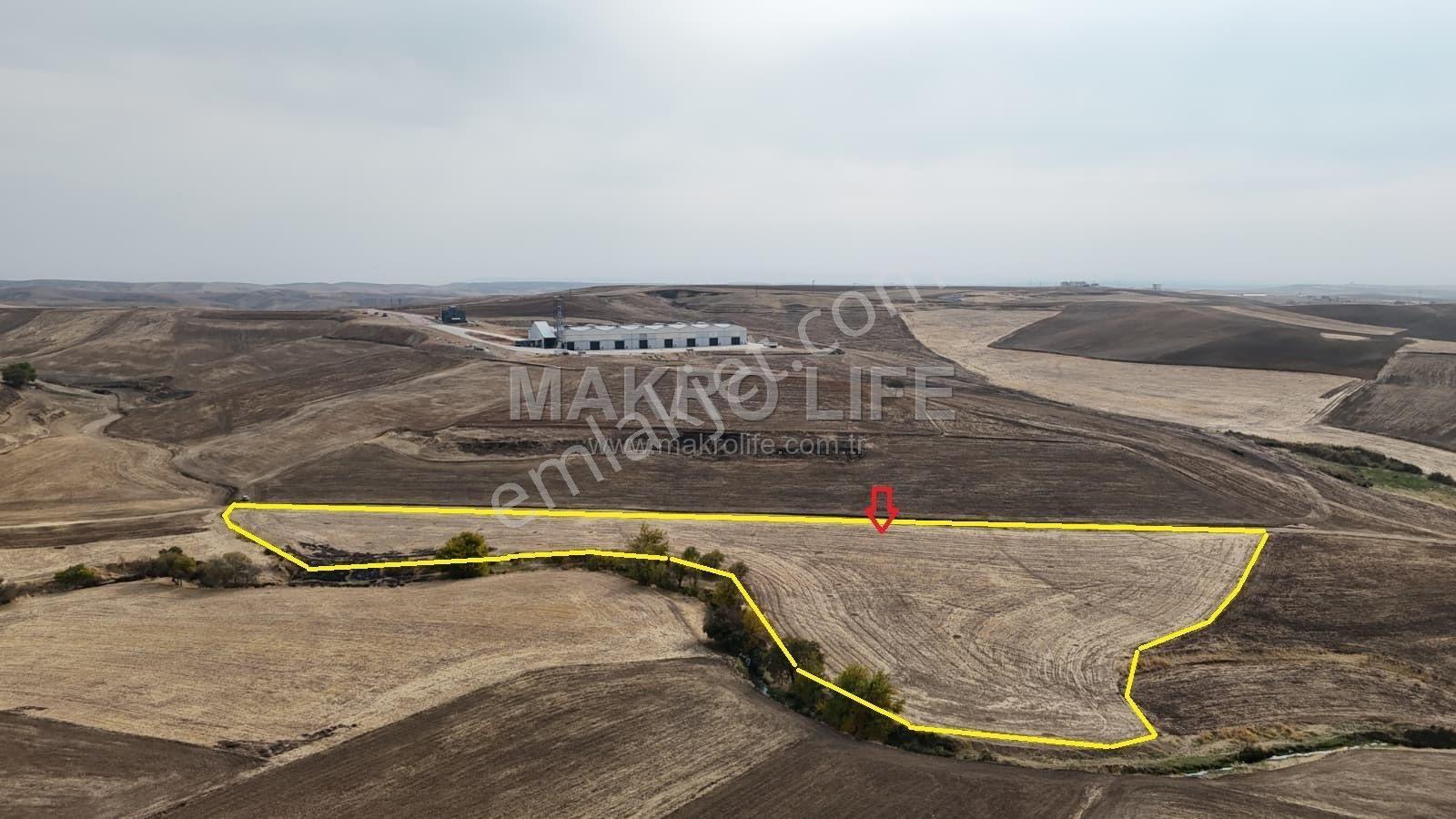 📍 Diyarbakır Silvan Yolaç Mahallesi’nde Satılık Fırsat Arsa - Görsel 4