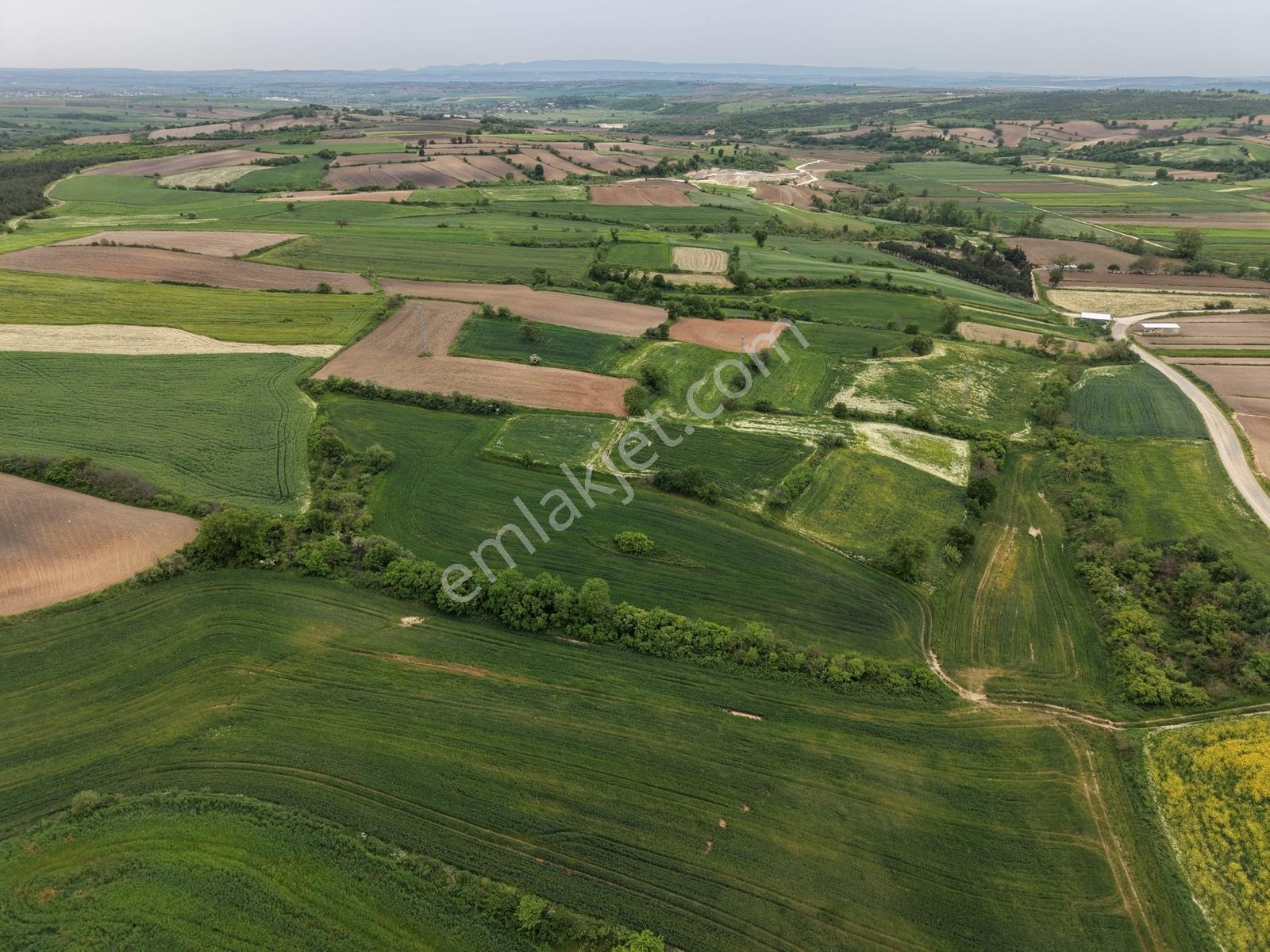 Varlı Kent'ten Tekirdağ'da Köyün Dibinde 6479 M2 Müstakil Tarla - Görsel 5