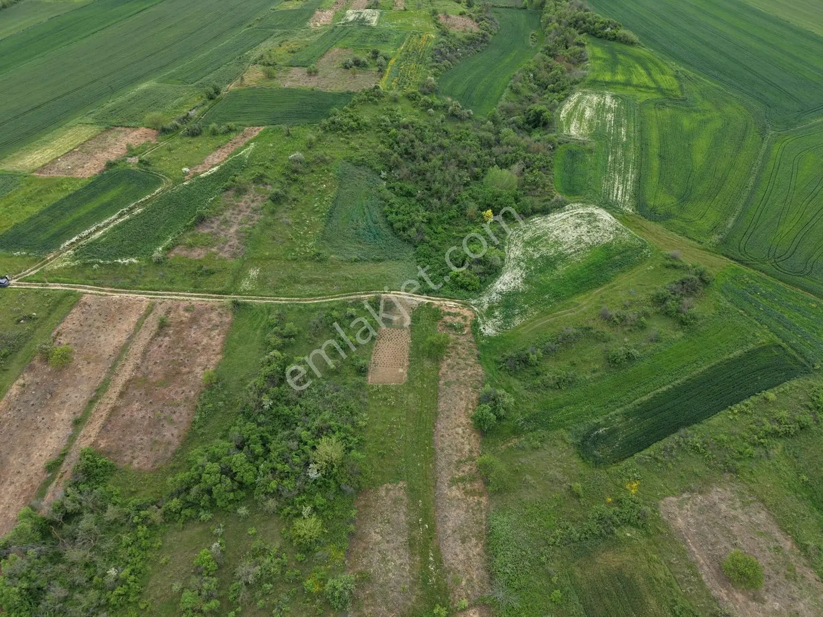 Varlı Kent'ten Tekirdağ Malkara'da 650 M2 Müstakil Tapulu Tarla - Görsel 2