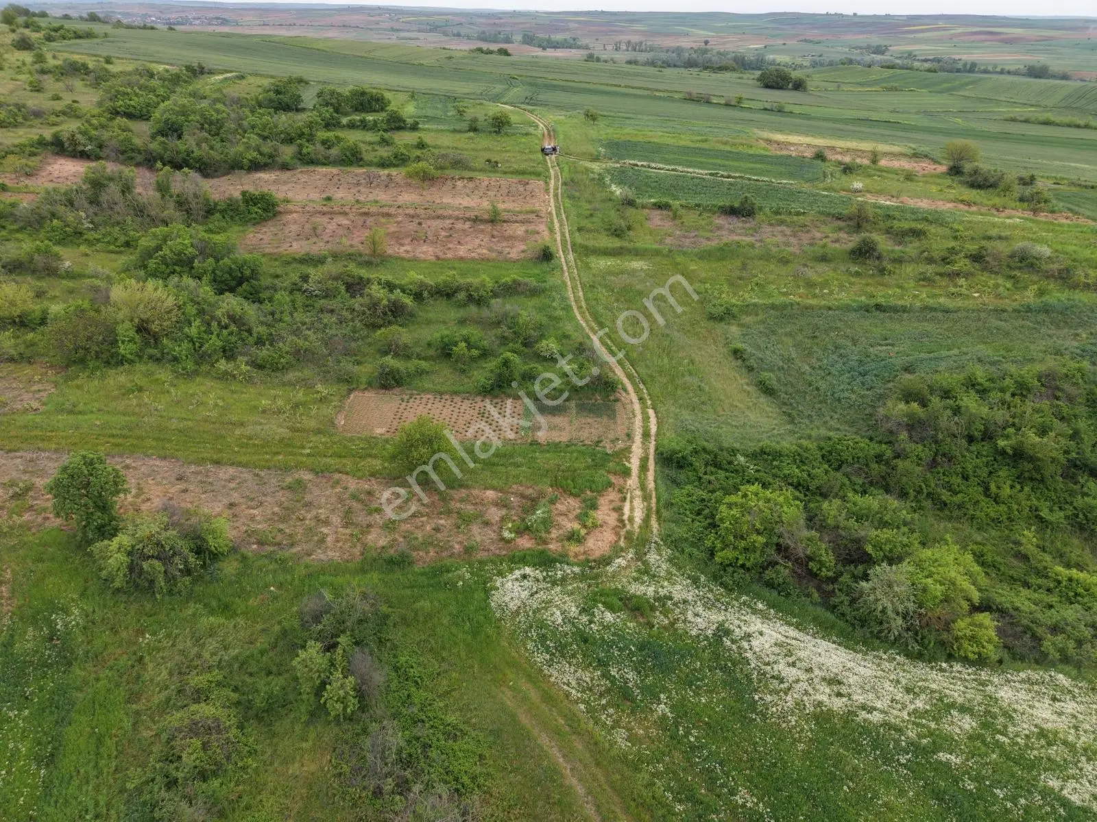 Varlı Kent'ten Tekirdağ Malkara'da 650 M2 Müstakil Tapulu Tarla - Görsel 3