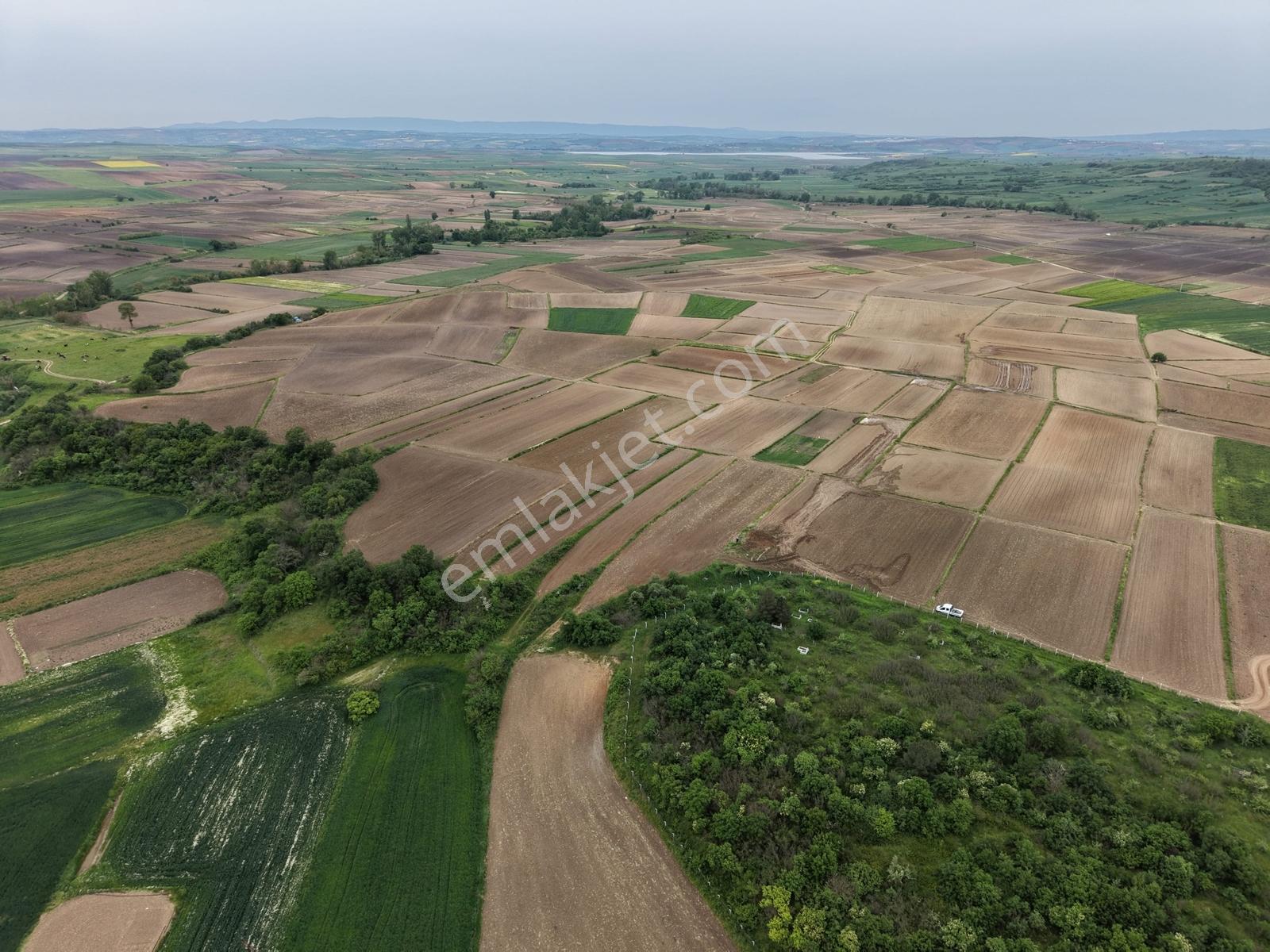 Varlı Kent'ten Tekirdağ'da Köyün Dibinde 1332m2 Müstakil Tarla - Görsel 2