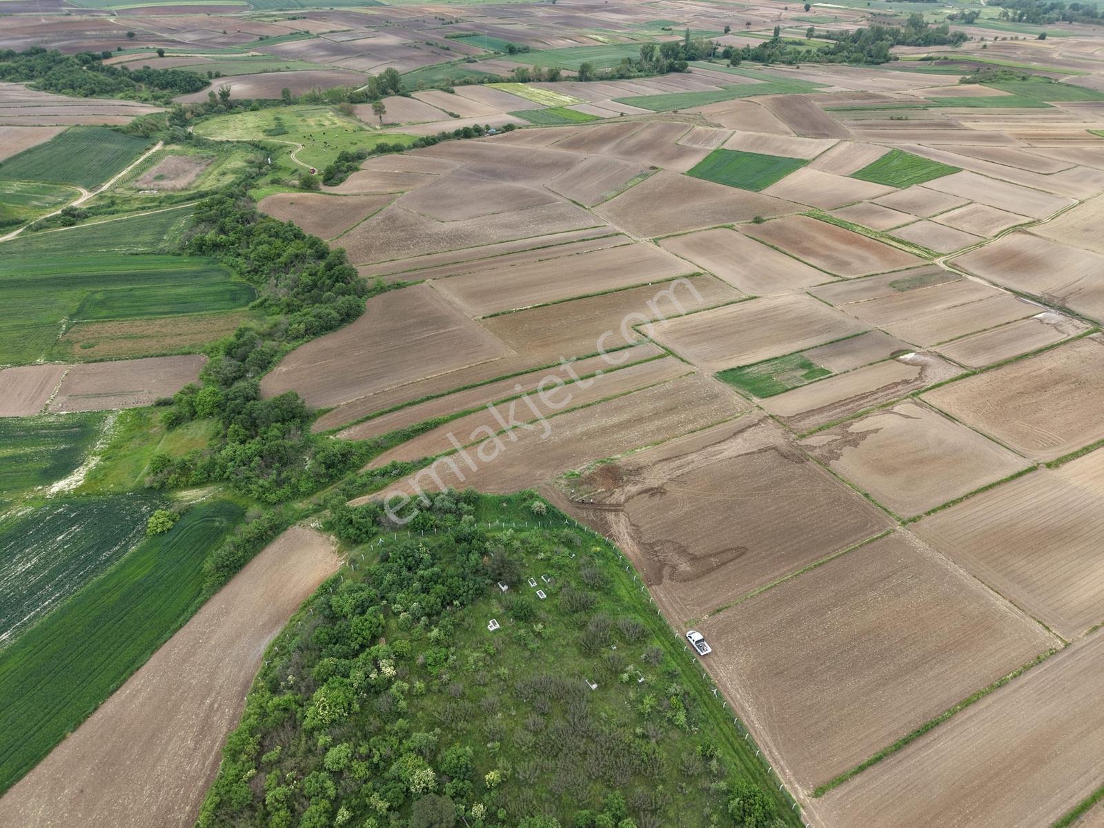 Varlı Kent'ten Tekirdağ'da Köyün Dibinde 1332m2 Müstakil Tarla - Görsel 3
