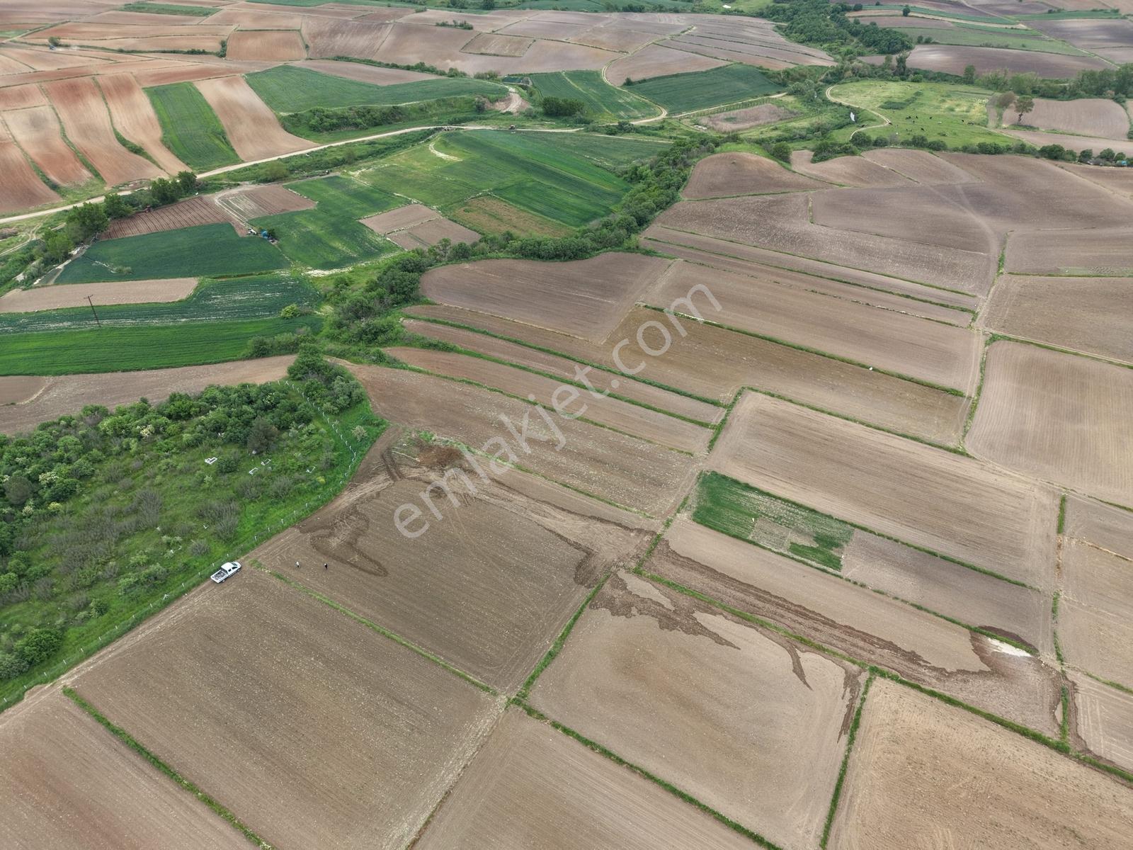 Varlı Kent'ten Tekirdağ'da Köyün Dibinde 1332m2 Müstakil Tarla - Görsel 5