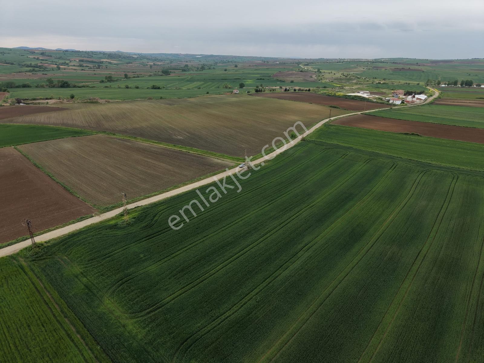 Varlı Kent'ten Tekirdağ'da Yola 150m Cephe Müstakil Tapulu Tarla - Görsel 4