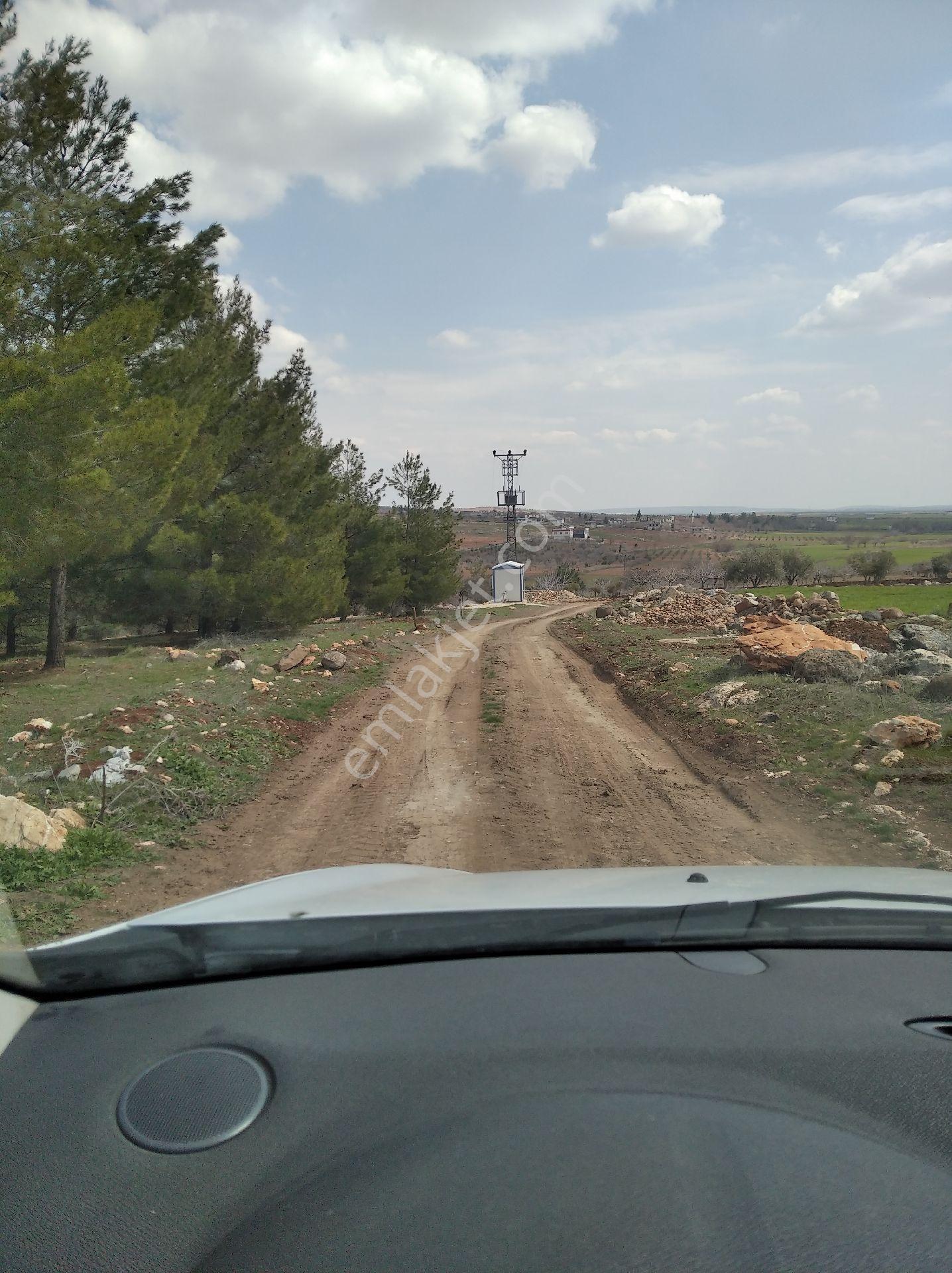 Almalı Köyü Bağevlik Arazi - Görsel 7