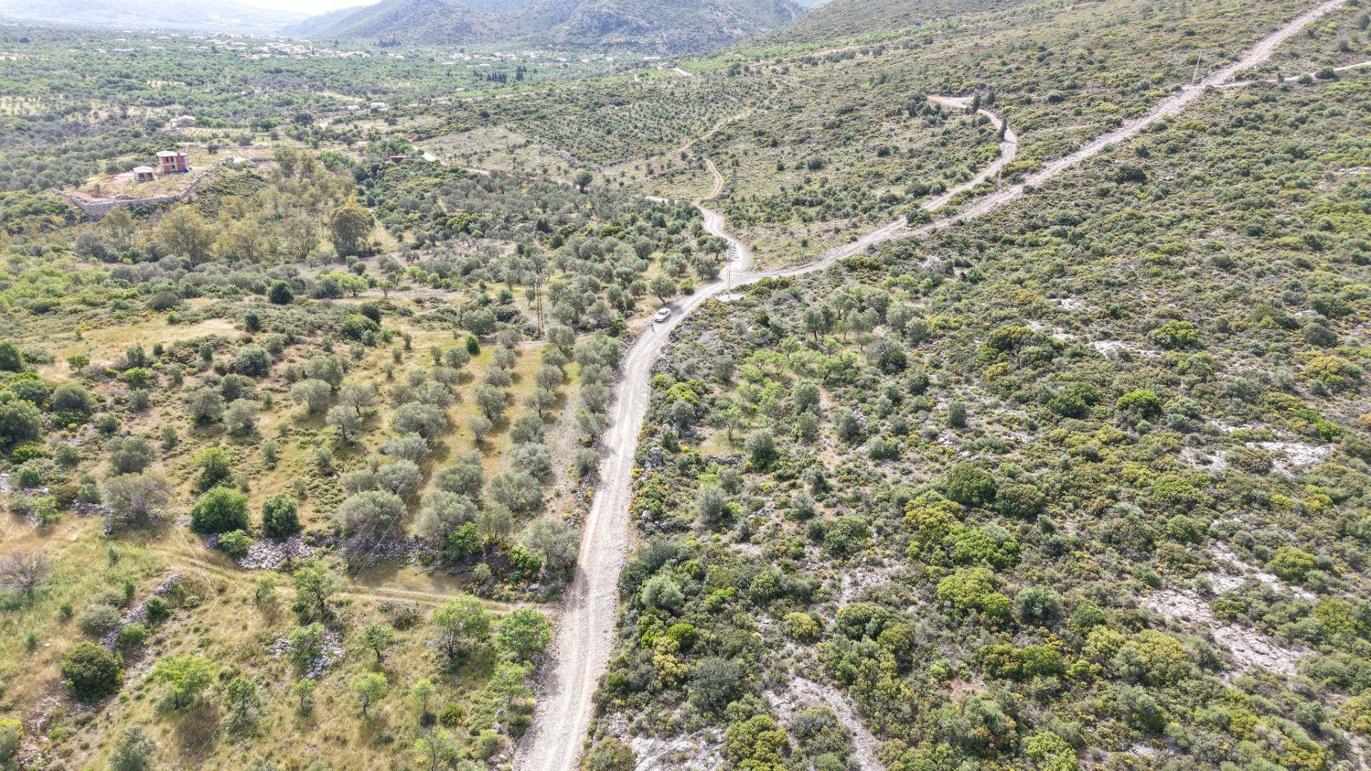 Datça Yazı'da Satılık 1.282m² Zeytinlik - Yatırımlık - Görsel 33