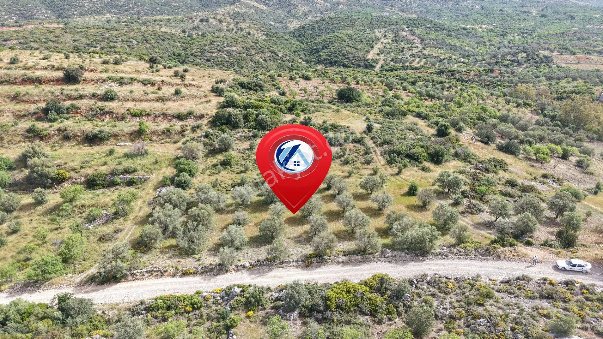Datça Yazı'da Satılık 1.282m² Zeytinlik - Yatırımlık - Görsel 4