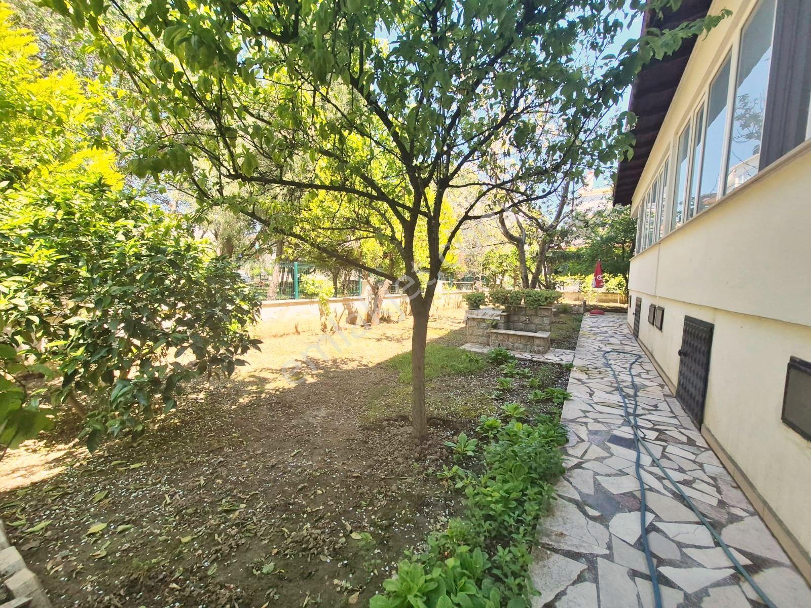 🔰blue Life Egenden Gerçek İlan Gürede Geniş Bahçeli Verandalı 3+1 İkiz Villa - Görsel 4