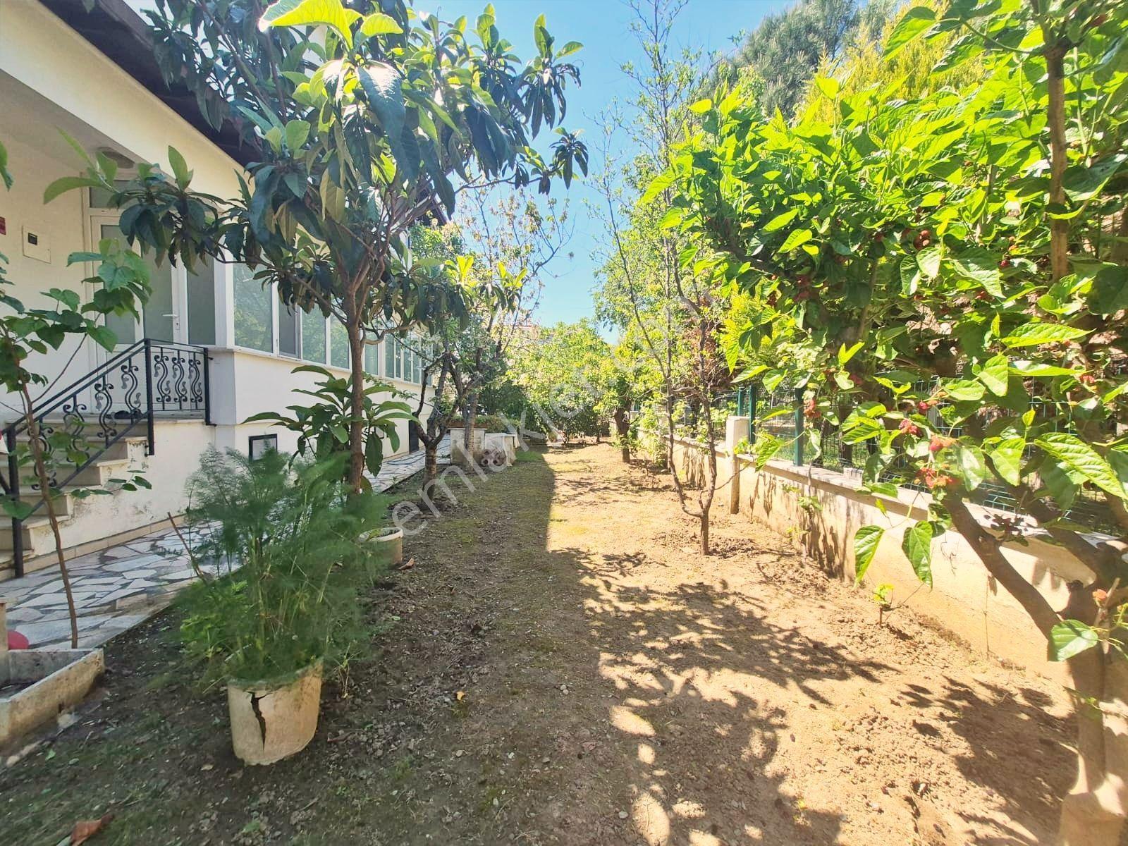 🔰blue Life Egenden Gerçek İlan Gürede Geniş Bahçeli Verandalı 3+1 İkiz Villa - Görsel 11