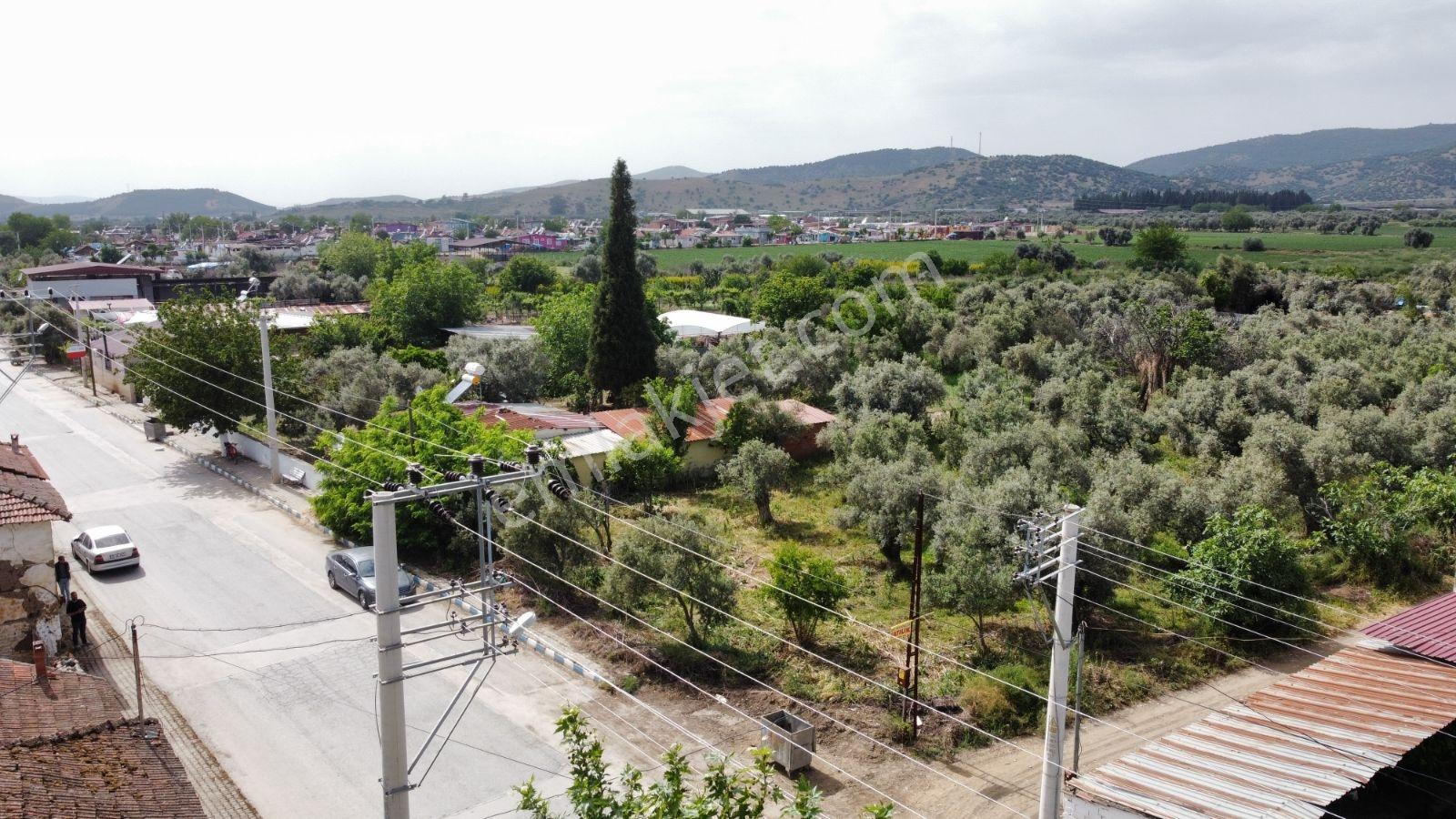 Bayındır Çırpı Mah. 1852m² Asfalt Cepheli Satılık Tarla - Görsel 2