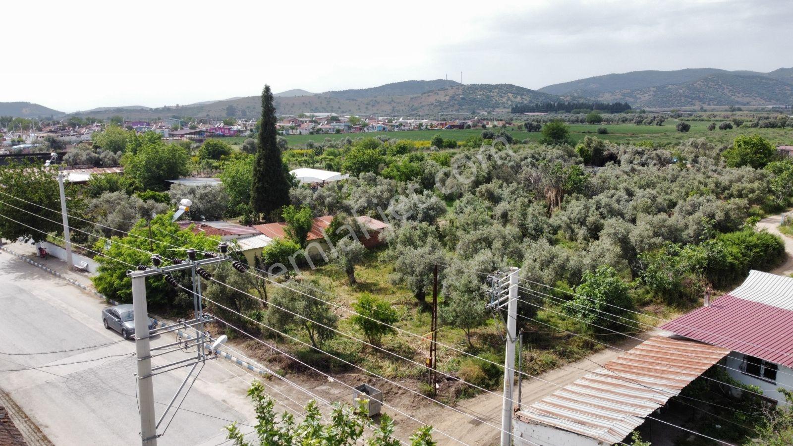 Bayındır Çırpı Mah. 1852m² Asfalt Cepheli Satılık Tarla - Görsel 6