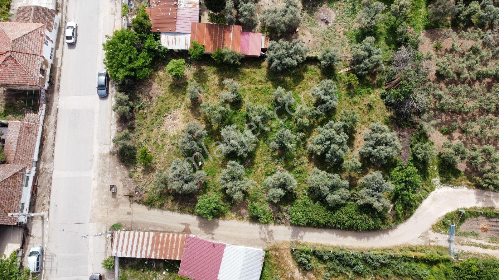 Bayındır Çırpı Mah. 1852m² Asfalt Cepheli Satılık Tarla - Görsel 5