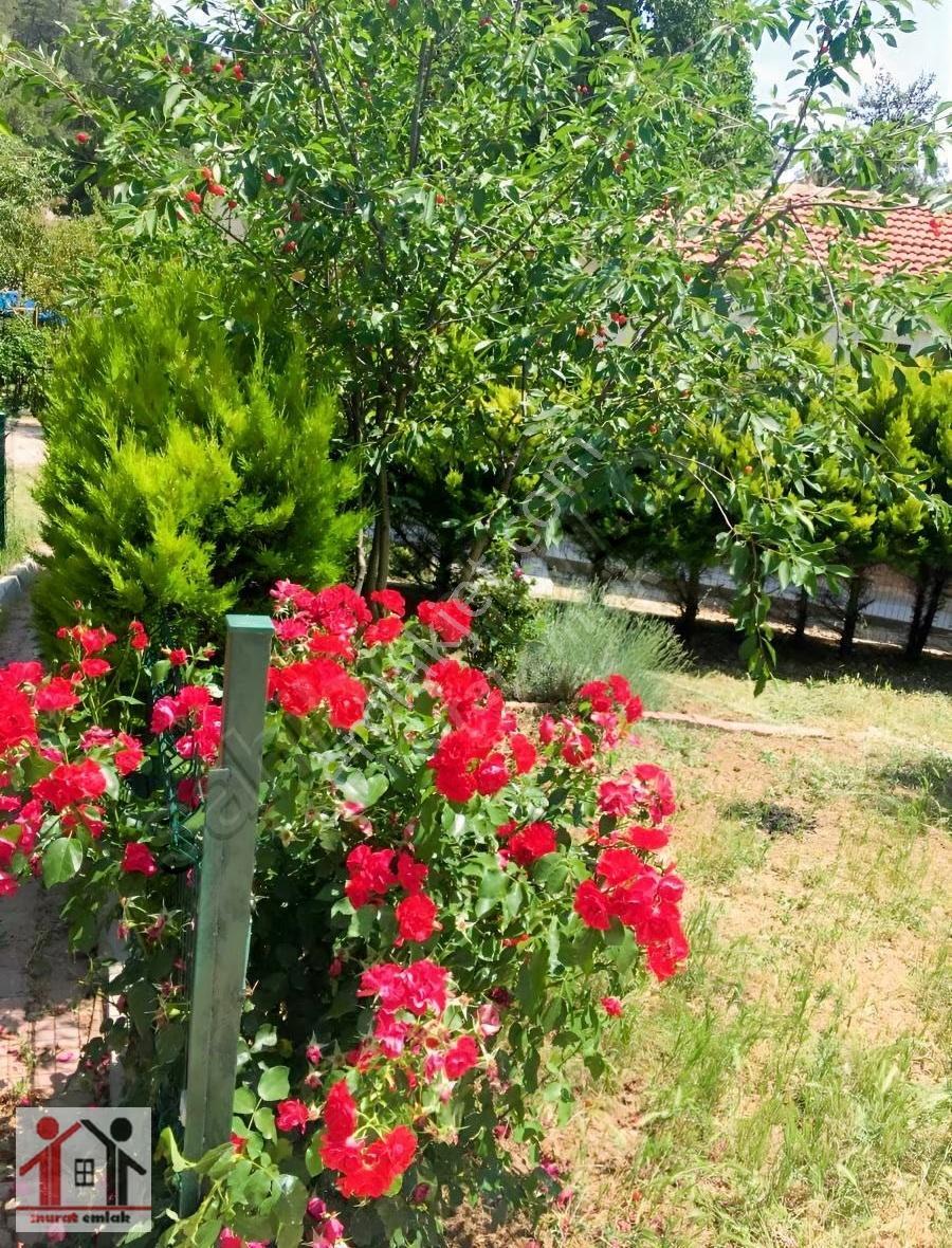 Korucak Da Süper Konumda Bahçeli Müstakil Dublex Yayla Evi - Görsel 25