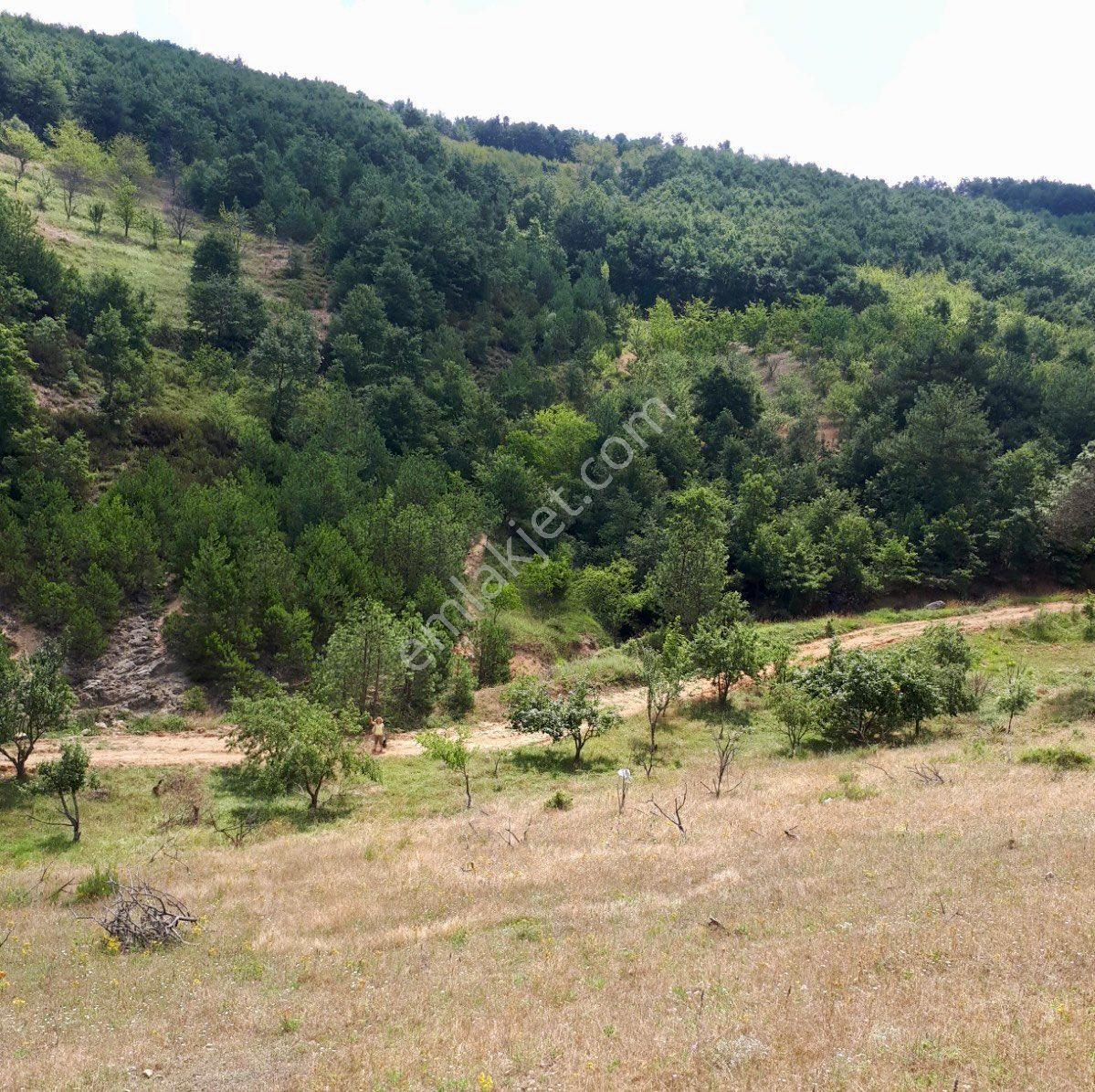 İznik Tacir Köyünde 13 Dönüm Yola Cephe Arazi - Görsel 8