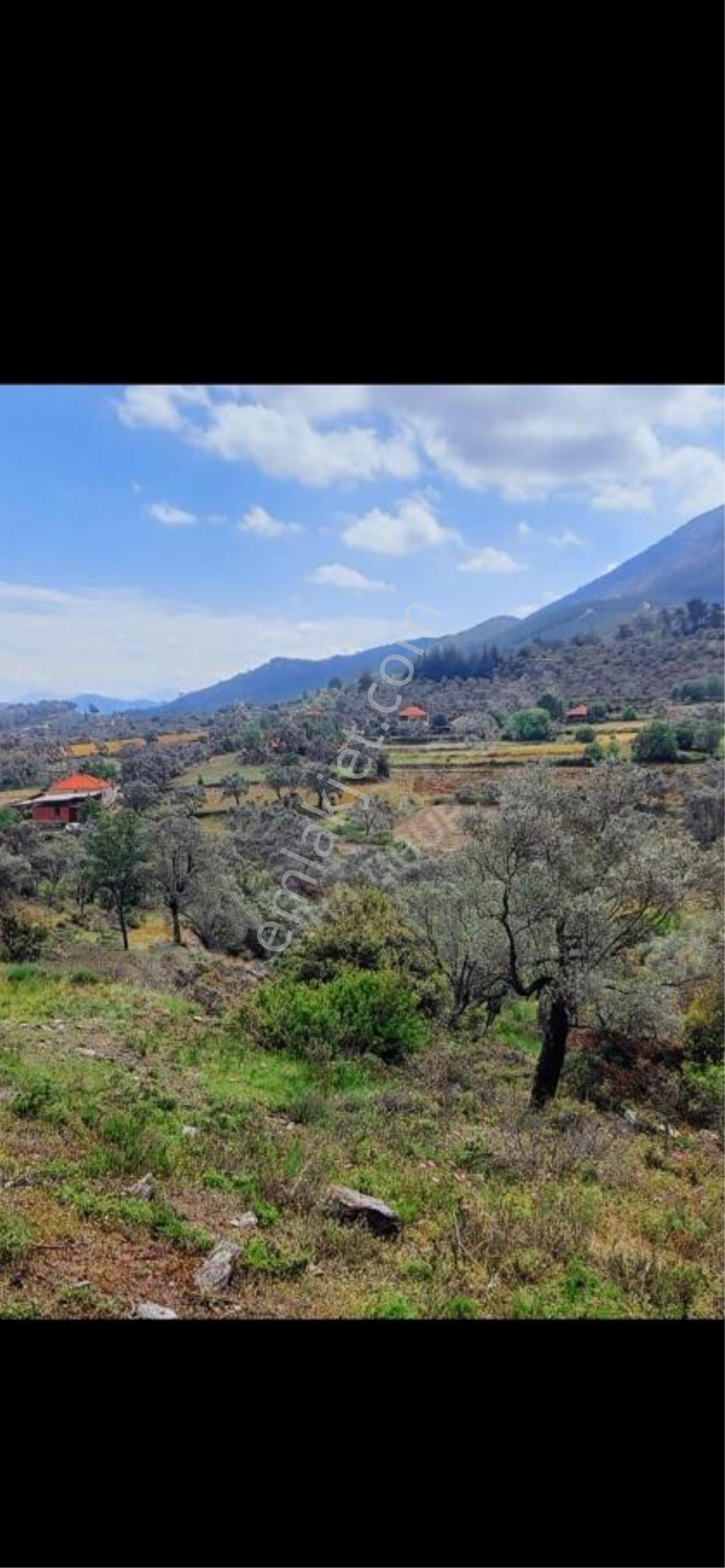 Muğlanın En Guzel Köyü Bencik - Görsel 2