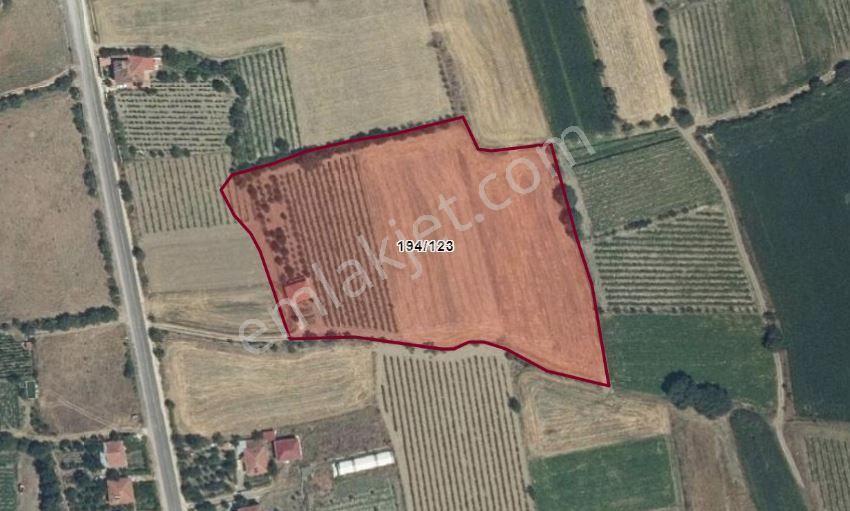 Tokat Turhal Kat Kasabasında Hısselı Tapu 800 M2 Satılık Tarla Bağ