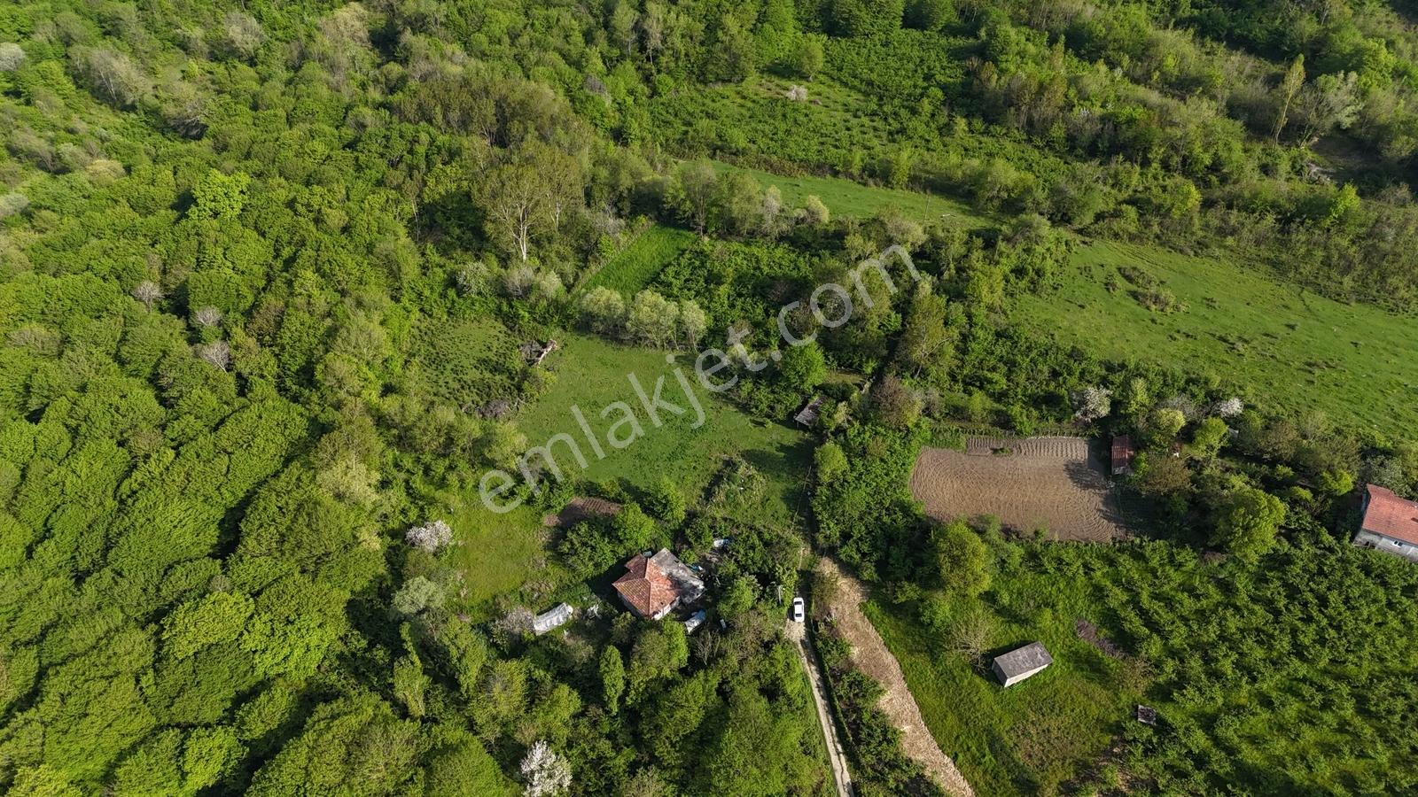 Villa İmarlı Plajlara Yürüme Mesafesinde 3 Dönüm Parsel - Görsel 4