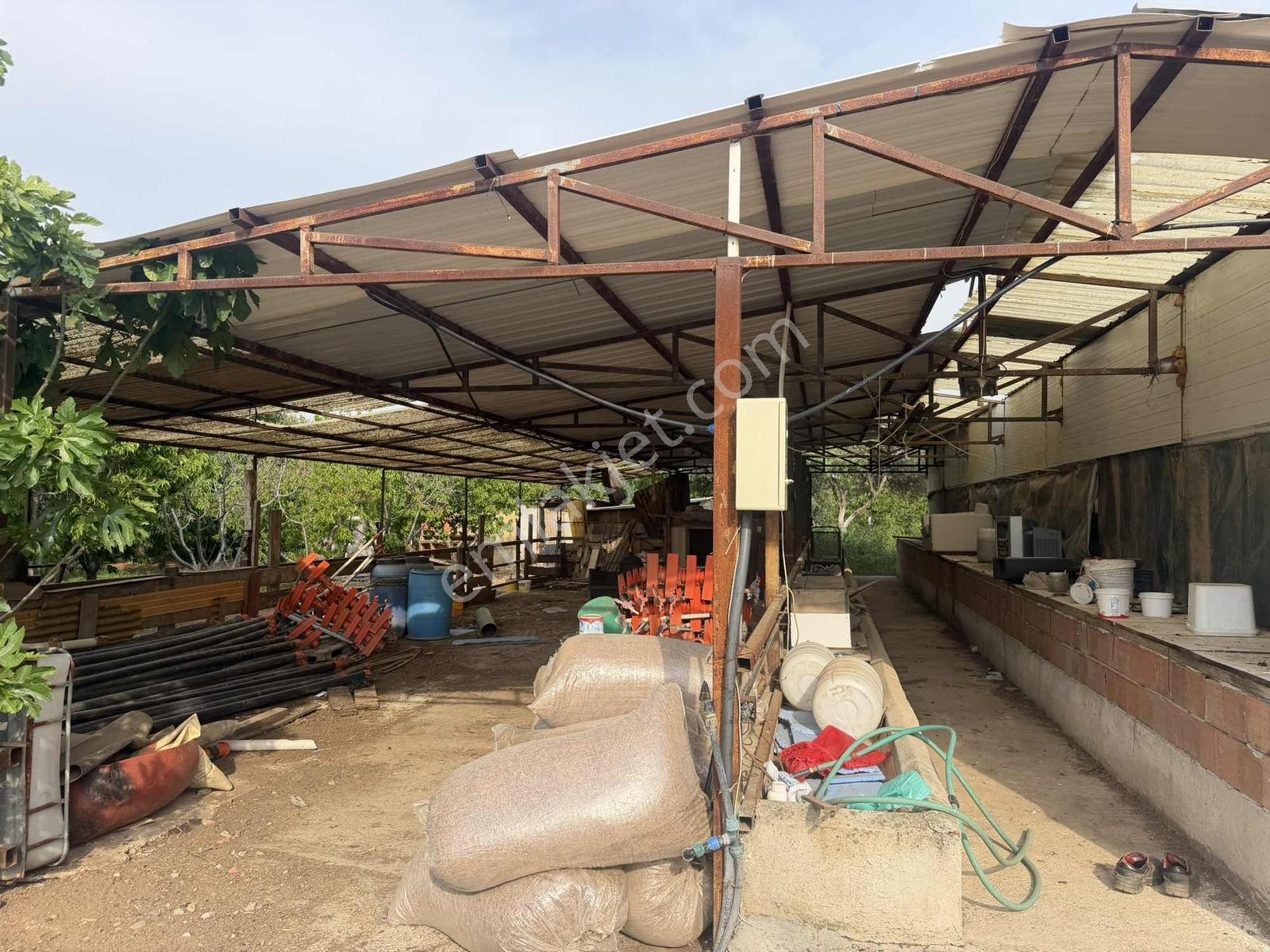 İzmir Kemalpaşa'da Yatırımlık Bahçe Ve Çiftlik İçinde 2 Katlı Ev - Görsel 17