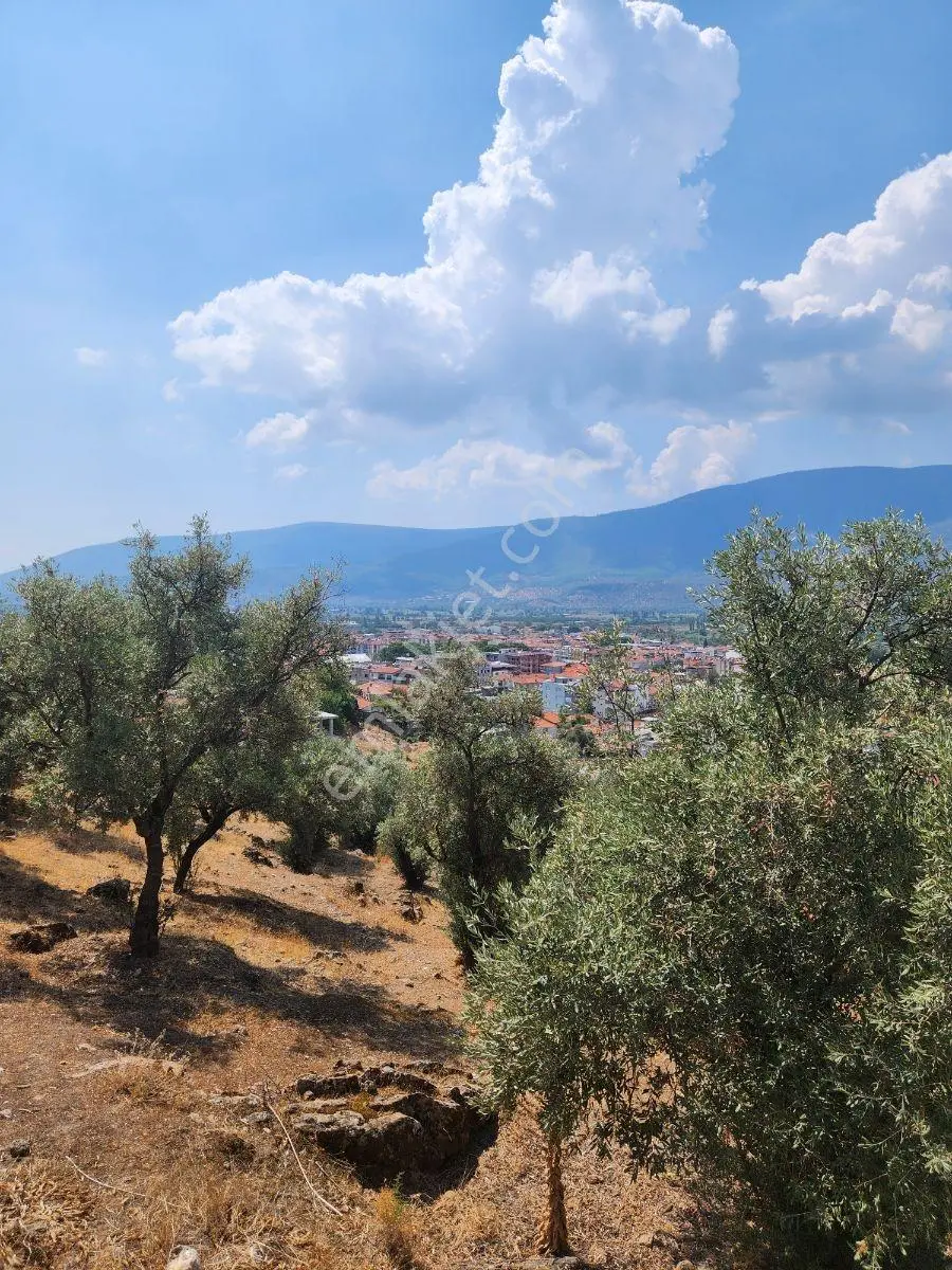 Milas Selimiye Merkezde Takaslı İmarlı Arsa - Görsel 7