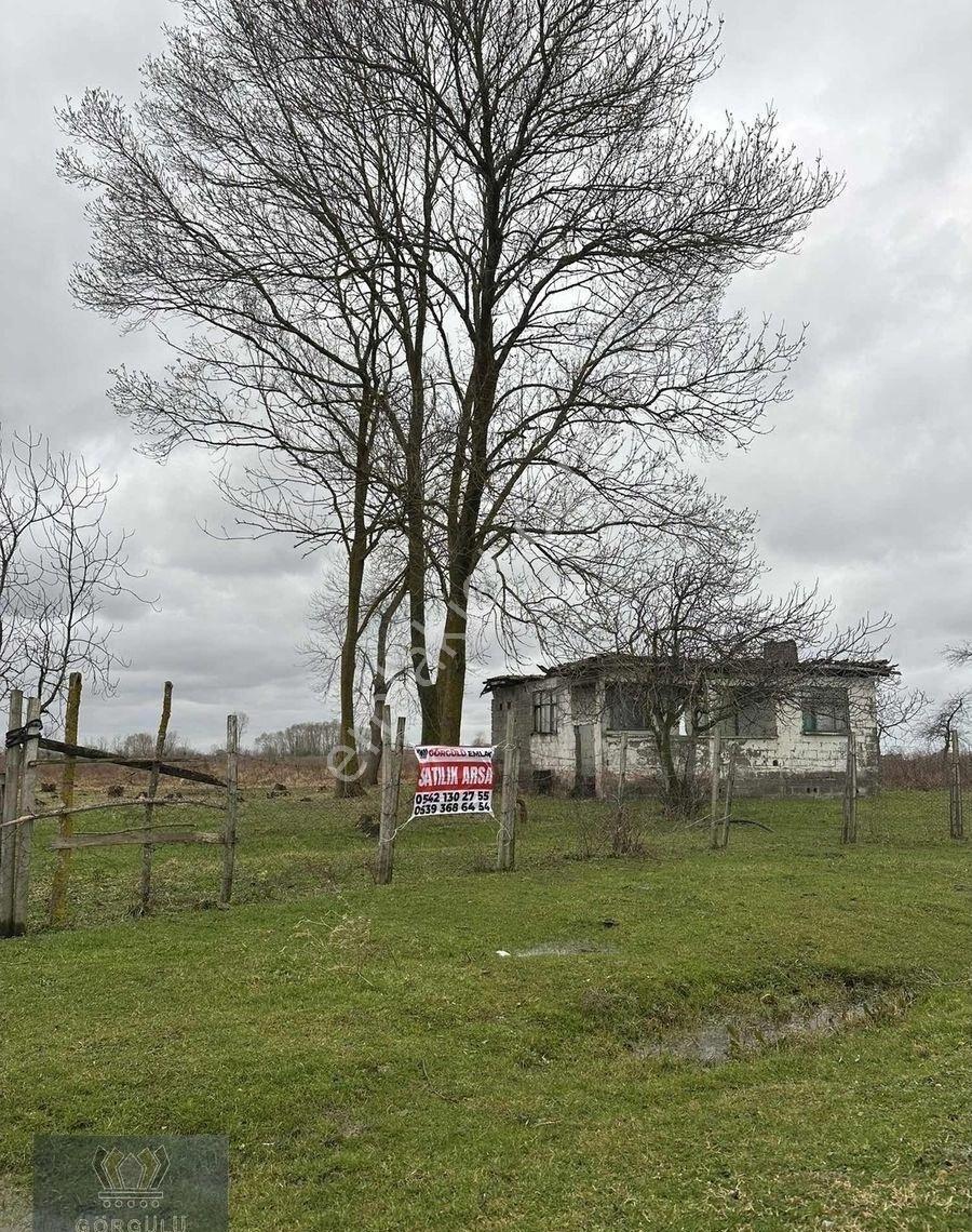 Görgülü Emlak Satıyor Denizler Mahallesinde 15.850 M2 Tarla - Görsel 30