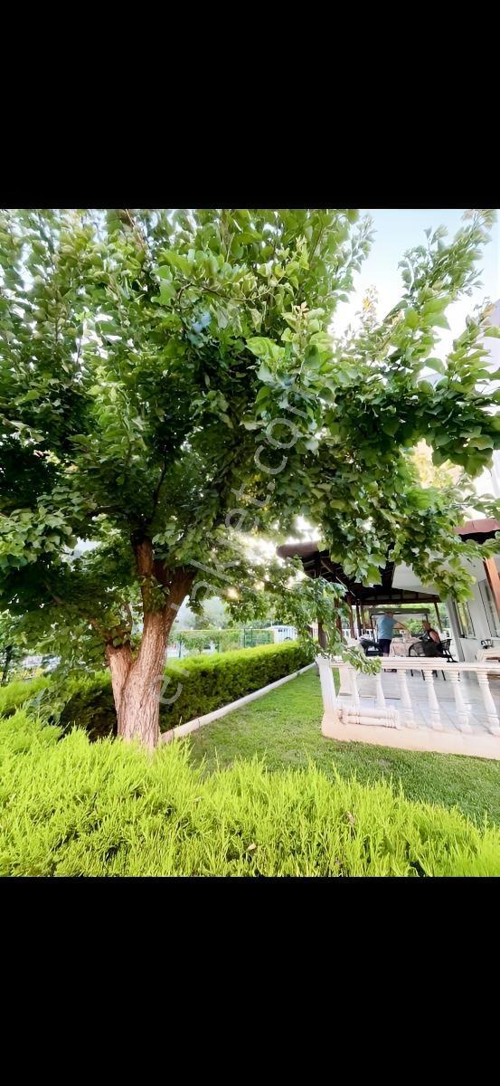 Dikili Kabakumda Denize 200 Mt.3+1 Bağımsız Nizamlı Yazlık - Görsel 6