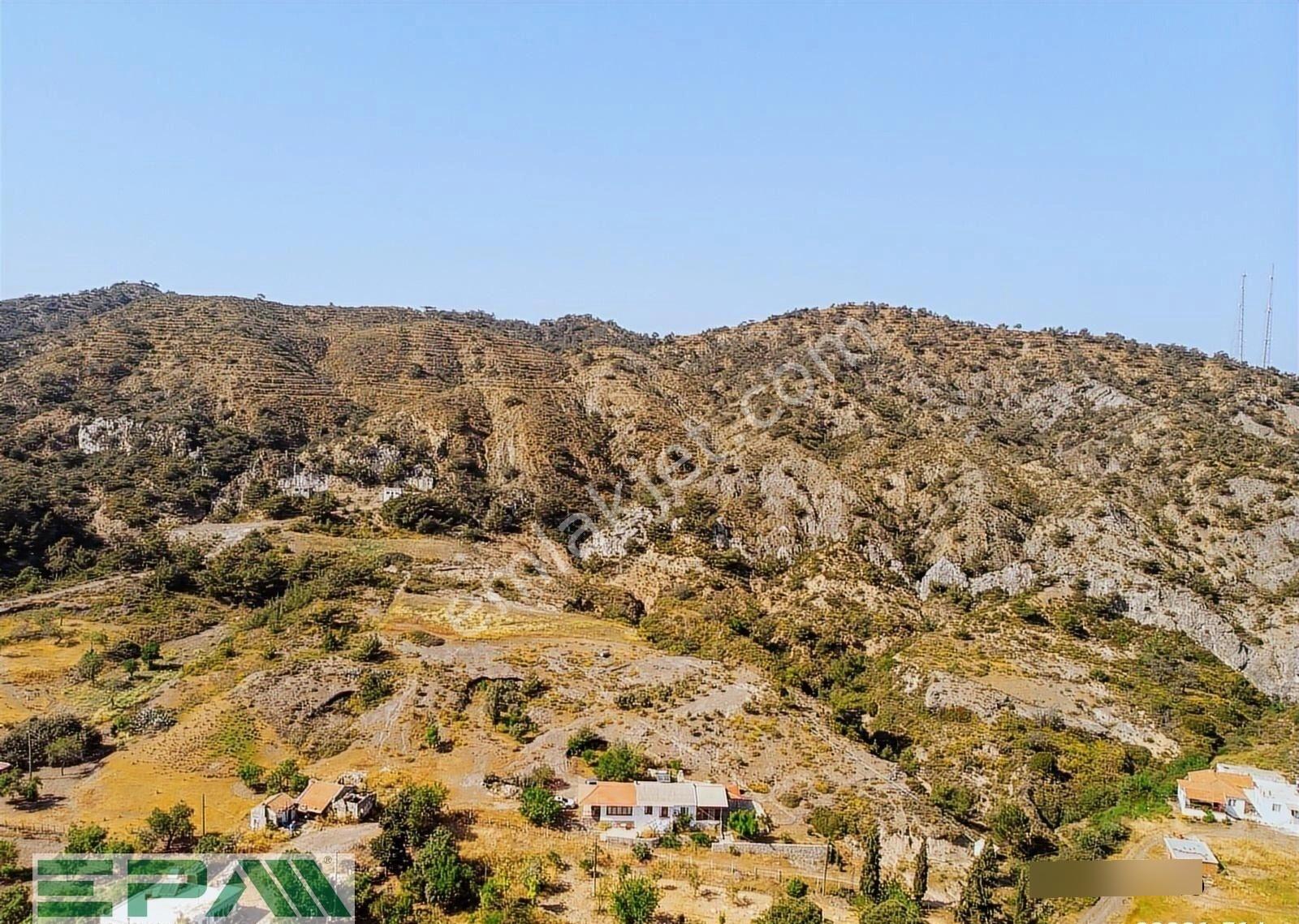 Epa Datça'dan 7750m2 Arsa İçerisinde Deniz Manzaralı Çiftlik Evi - Görsel 7